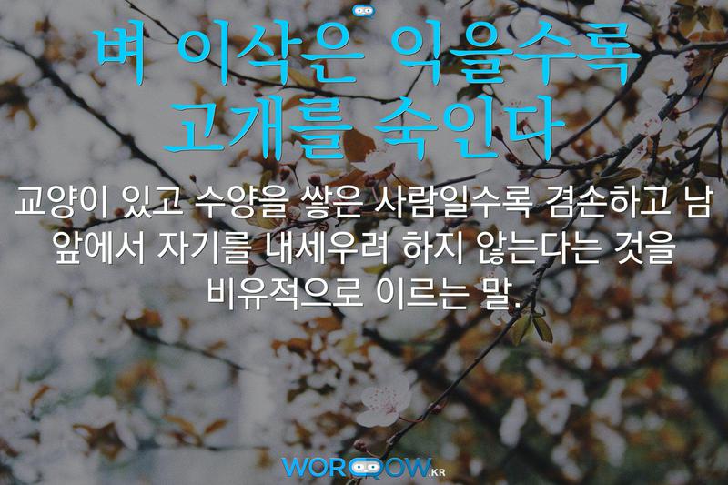 벼이삭은익을수록고개를숙인다-교양이있고수양을쌓은사람일수록겸손하고남앞에서자기를내세우려하지않는다는것을비유적으로이르는말._800.jpg