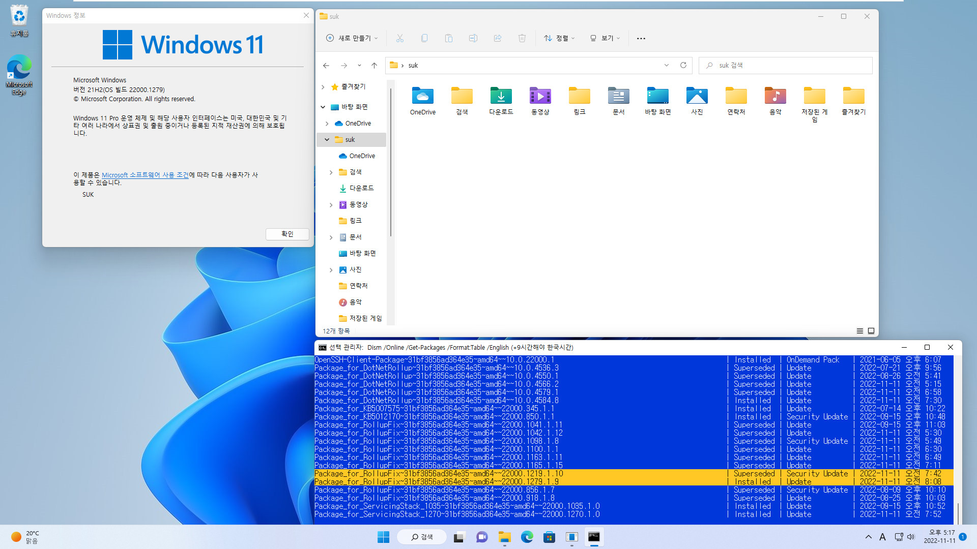 2022-11-11 금요일 - 릴리스 프리뷰 - Windows 11 버전 21H2, 빌드 22000.1279 - 누적 업데이트 KB5019157 - vmware에 설치 테스트 2022-11-11_171754.jpg