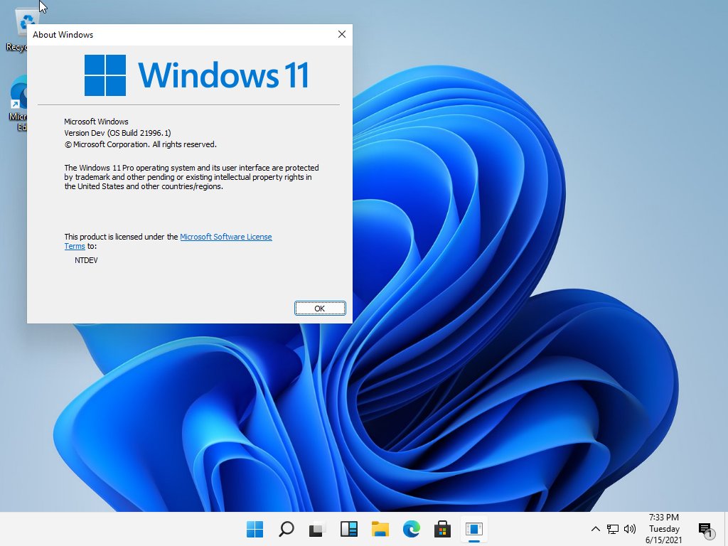 Windows 11 유출된 스샷 - 개발자 채널 21996.1 빌드  (winver와 바탕화면) 2021-06-16 E37-E-LWUAI8COi.jpg