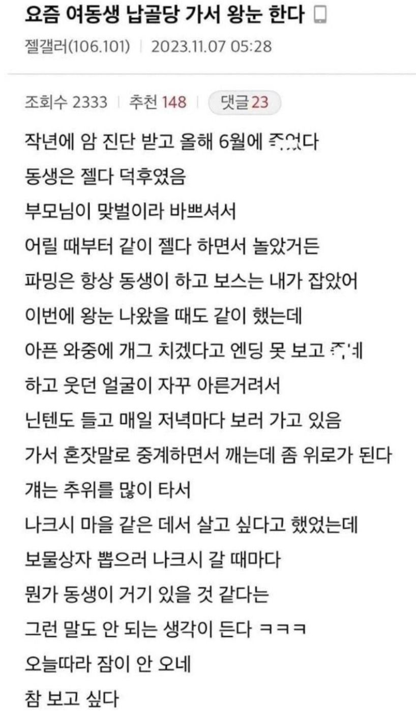 여동생 납골당 가서 닌텐도 하는 친오빠.jpg