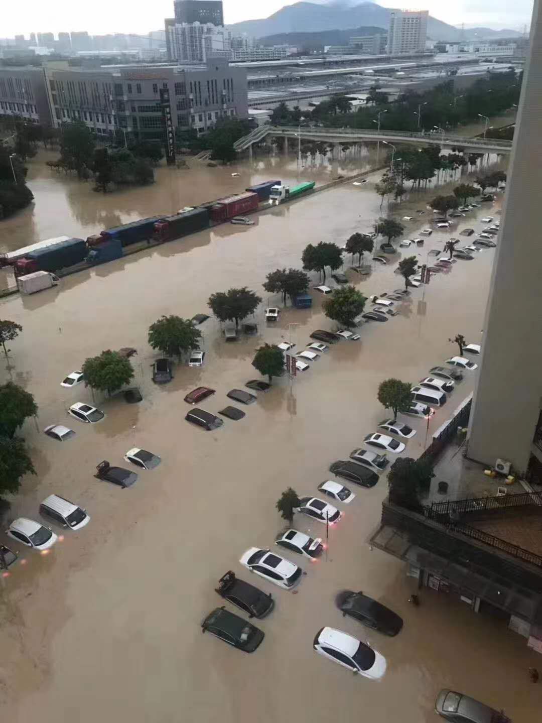 중국 광저우 폭우 202005 mmexport1590560439166.jpg