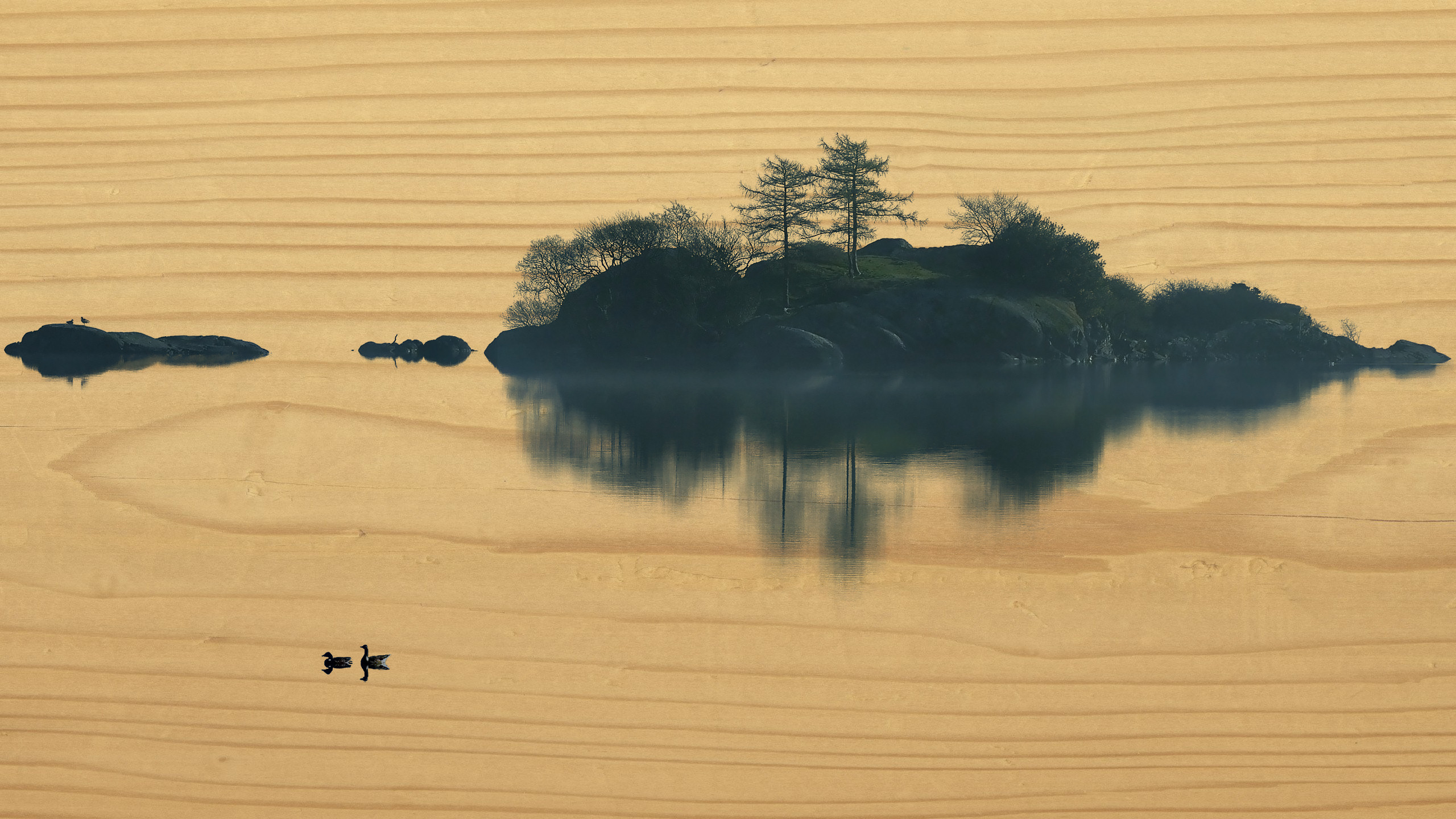 wooden_Island_in_the_mist_2560x1440.jpg