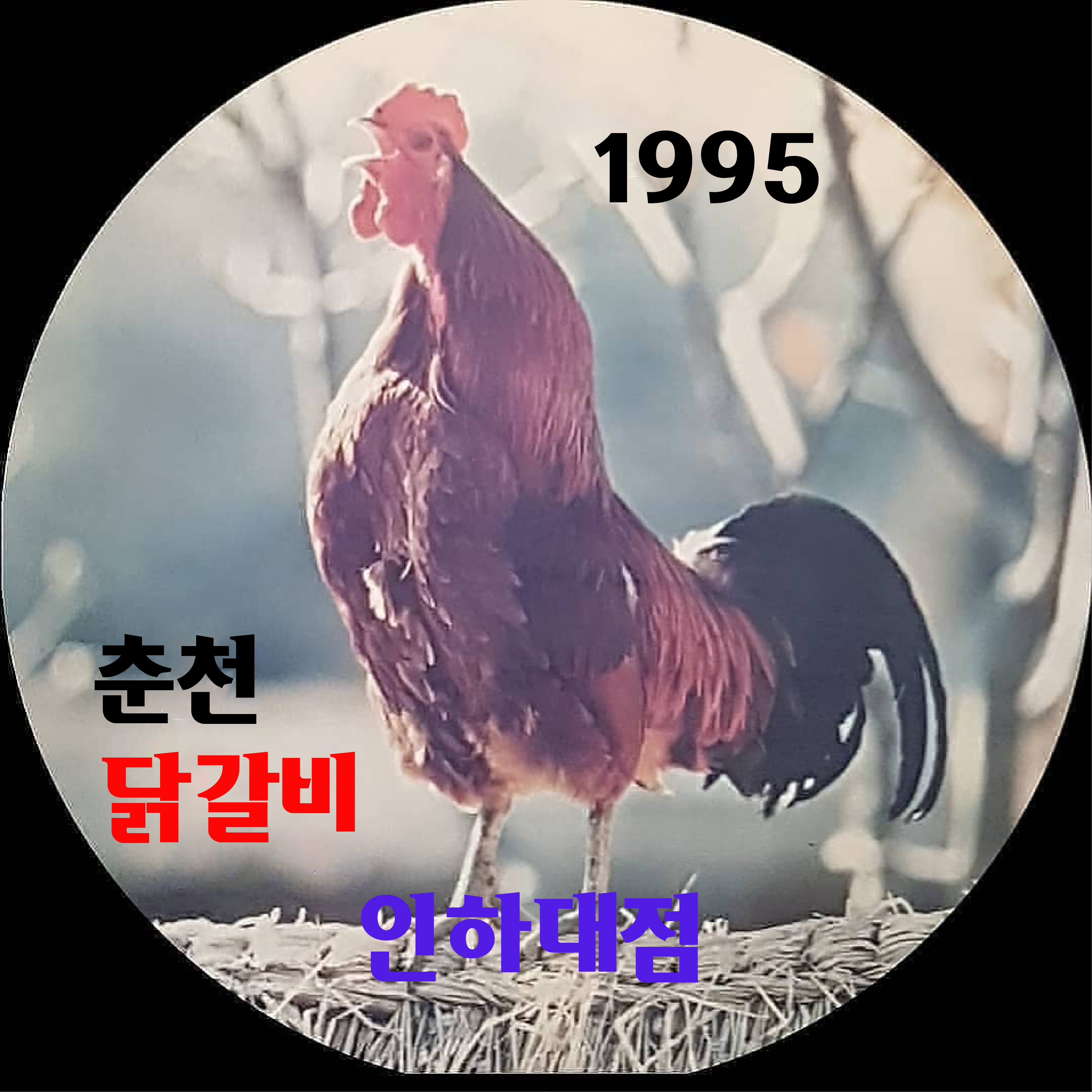 지붕위의닭사진10.png