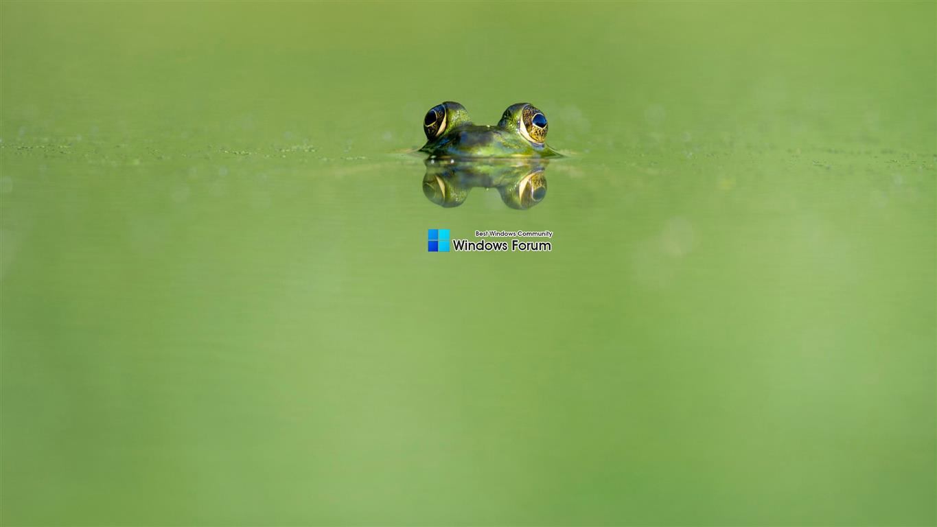 frog_eyes_green_lake-wallpaper-2560x1440.jpg