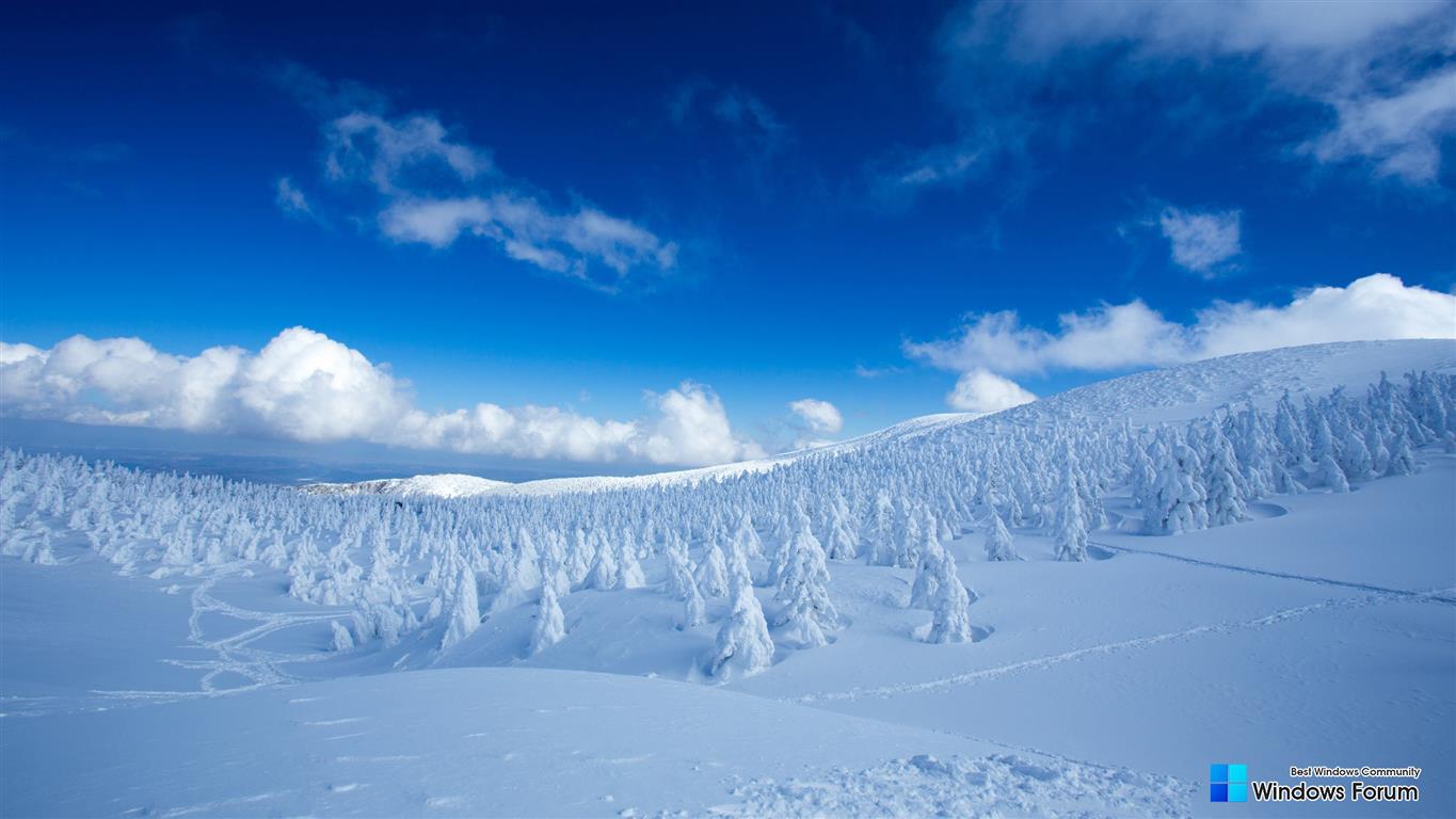 winter_landscape_5-wallpaper-2560x1440.jpg