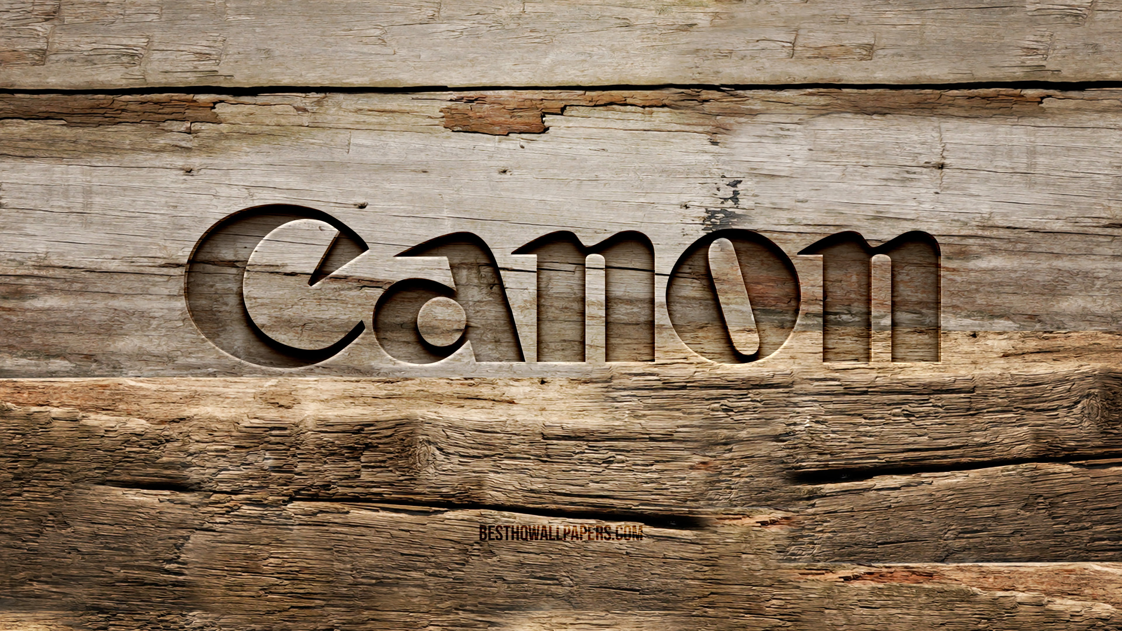 Canon wooden logo (2).jpg