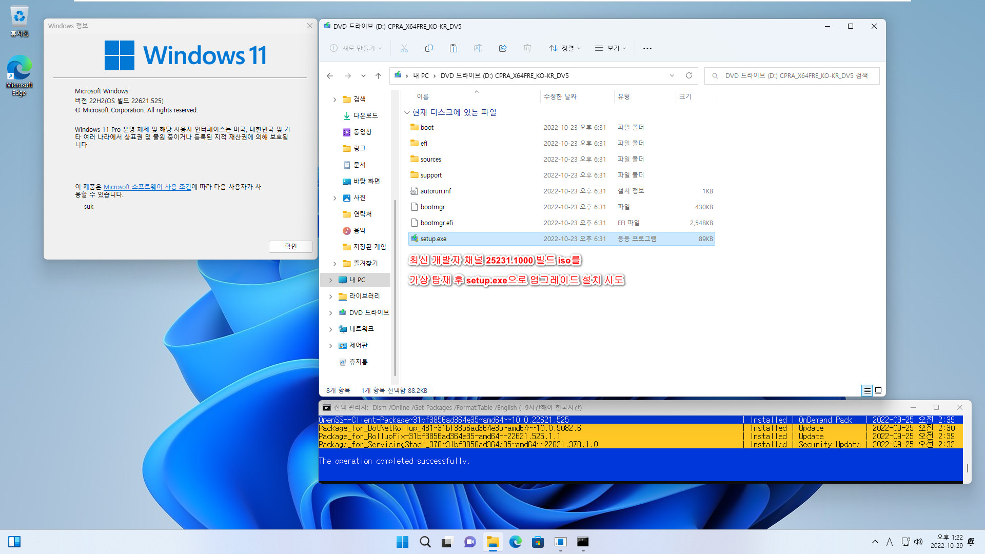 Windows 11 우회 설치 - 윈도우상에서 패치 - 22621.525 빌드에서 Windows 11 최신 개발자 채널 (25231.1000 빌드) PRO로 업그레이드 설치 (Skip_TPM_Check_on_Dynamic_Update_2022.10.02 V10.cmd 사용) 2022-10-29_132219.jpg