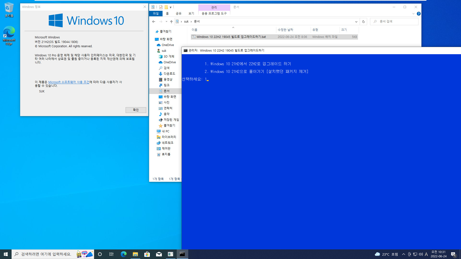 Windows 10 22H2 19045 빌드로 업그레이드하기.bat 테스트 2022-06-24_103153.jpg