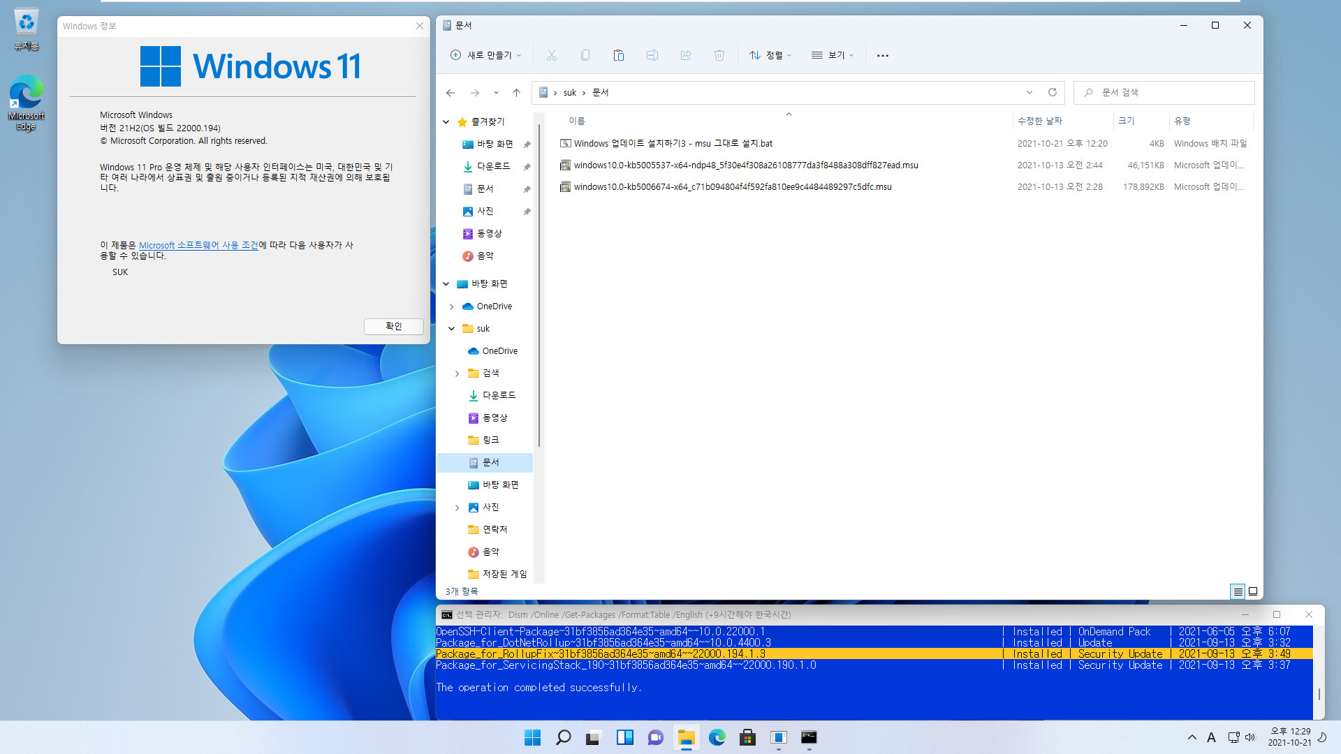 Windows 업데이트 설치하기3 - msu 그대로 설치.bat 테스트 2021-10-21_122920.jpg