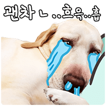 괜찬.png