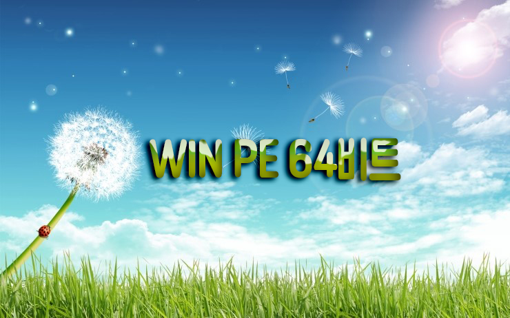 WIN_PE_X64.jpg