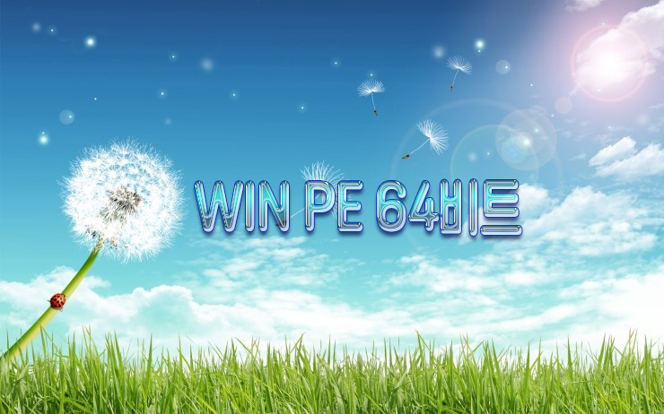 WIN_PE_X64_2.jpg