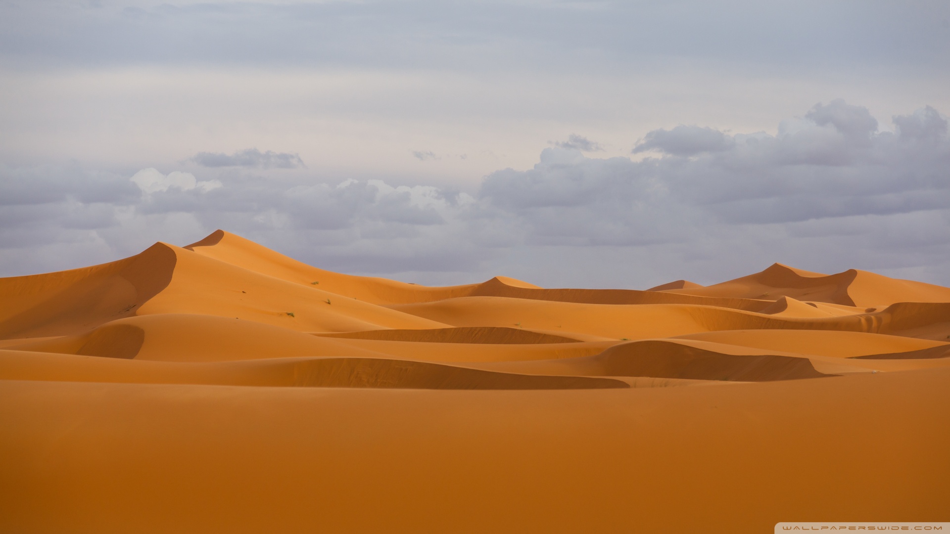 wallpaperswide.com_sahara_the_greatest_desert-wallpaper-1920x1080.jpg