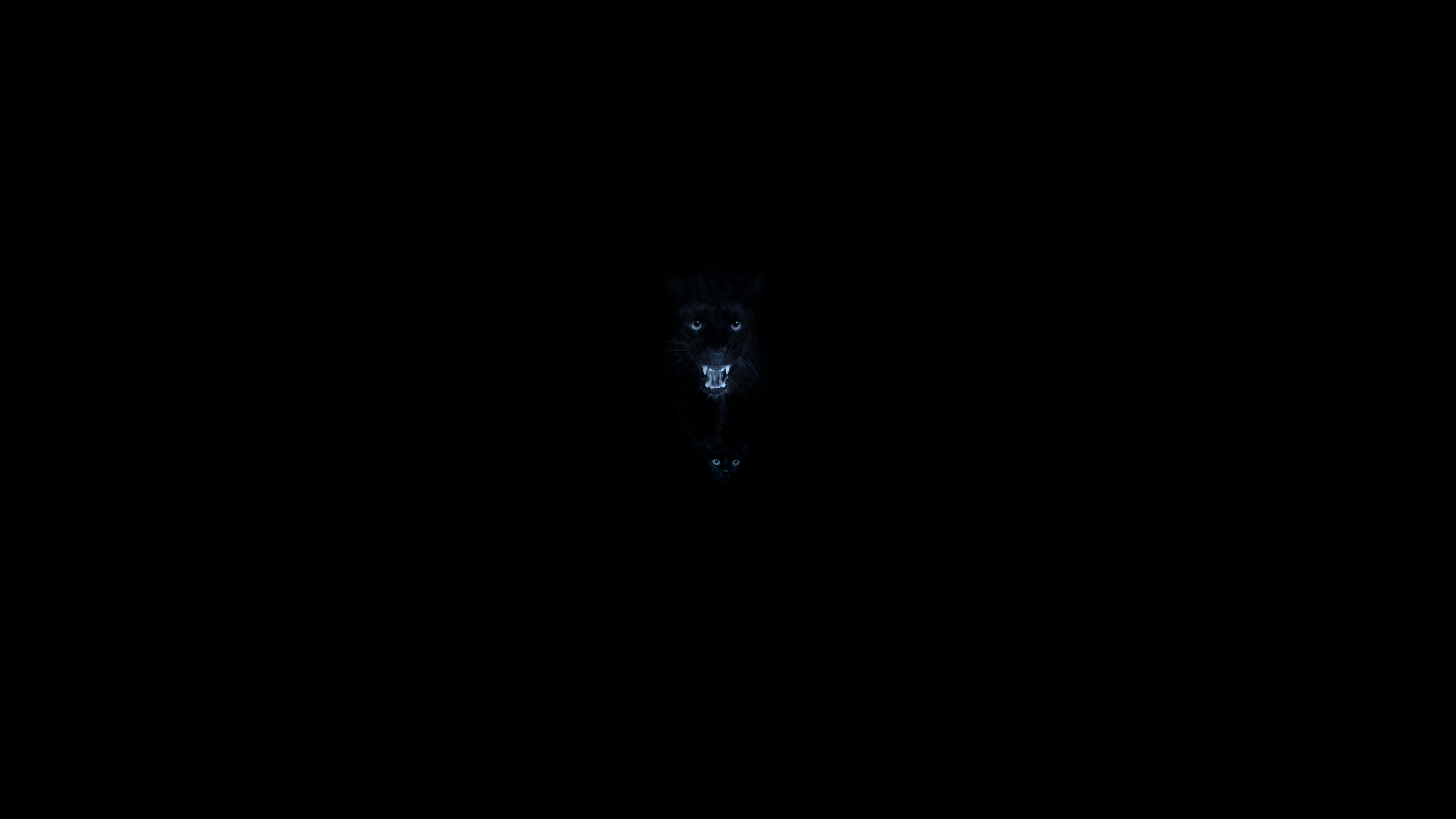 Black Panther-Enhanced-SR.png