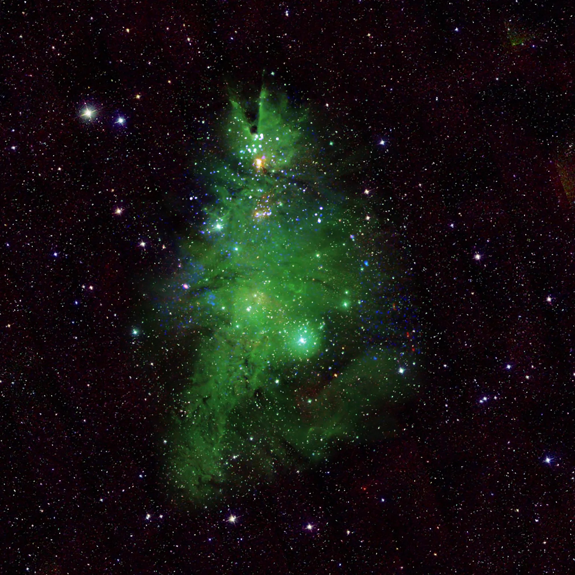 Christmas Tree Cluster in NGC2264.jpg