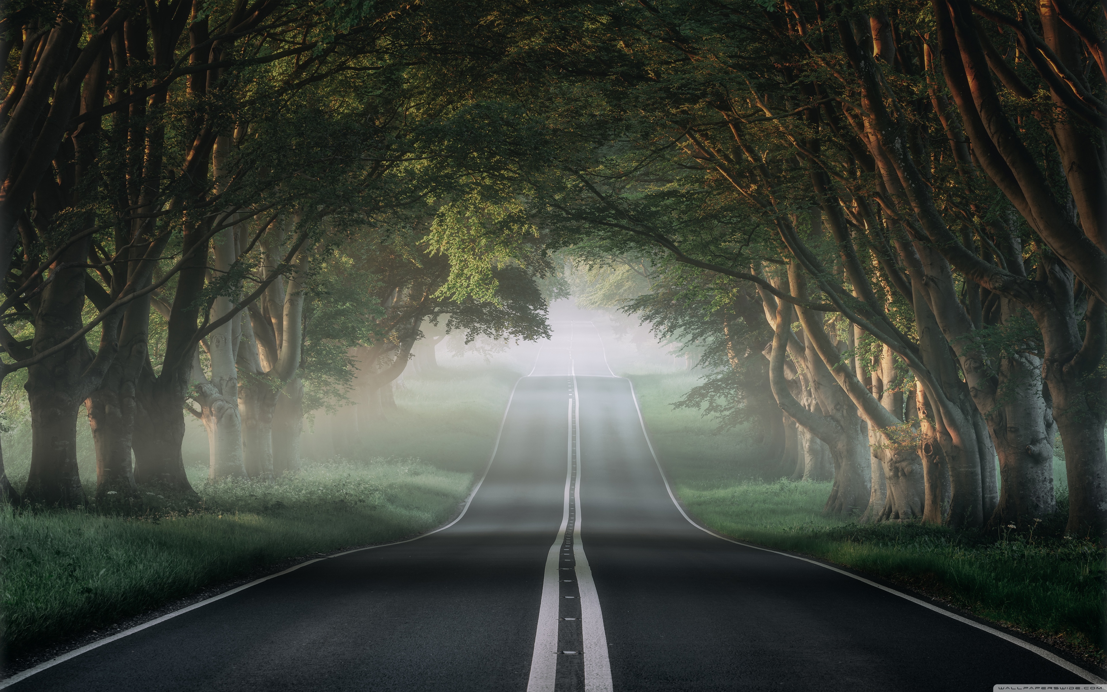 the_most_beautiful_road_in_the_world_2-wallpaper-3840x2400.jpg