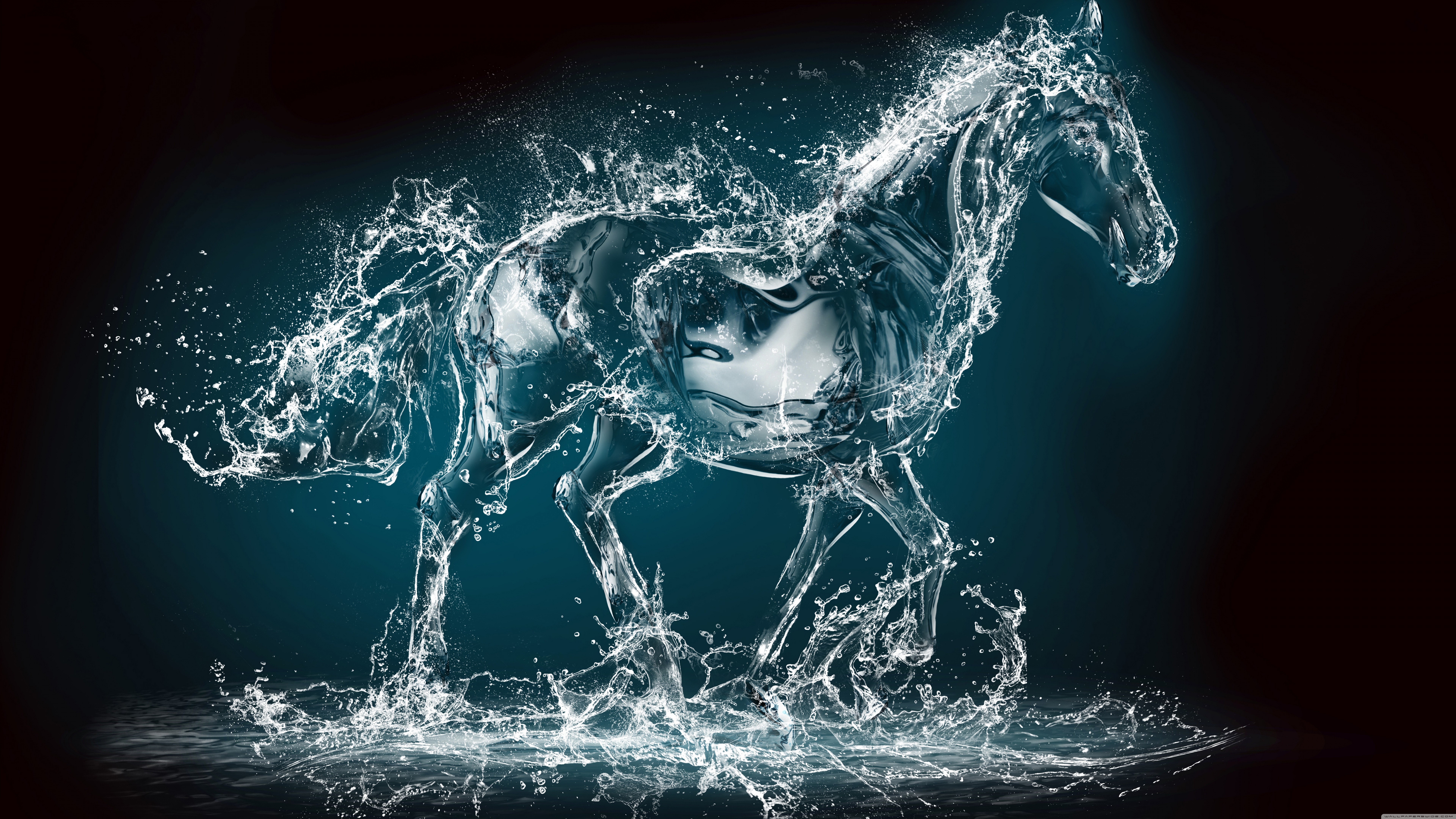 horse_34-wallpaper-7680x4320.jpg