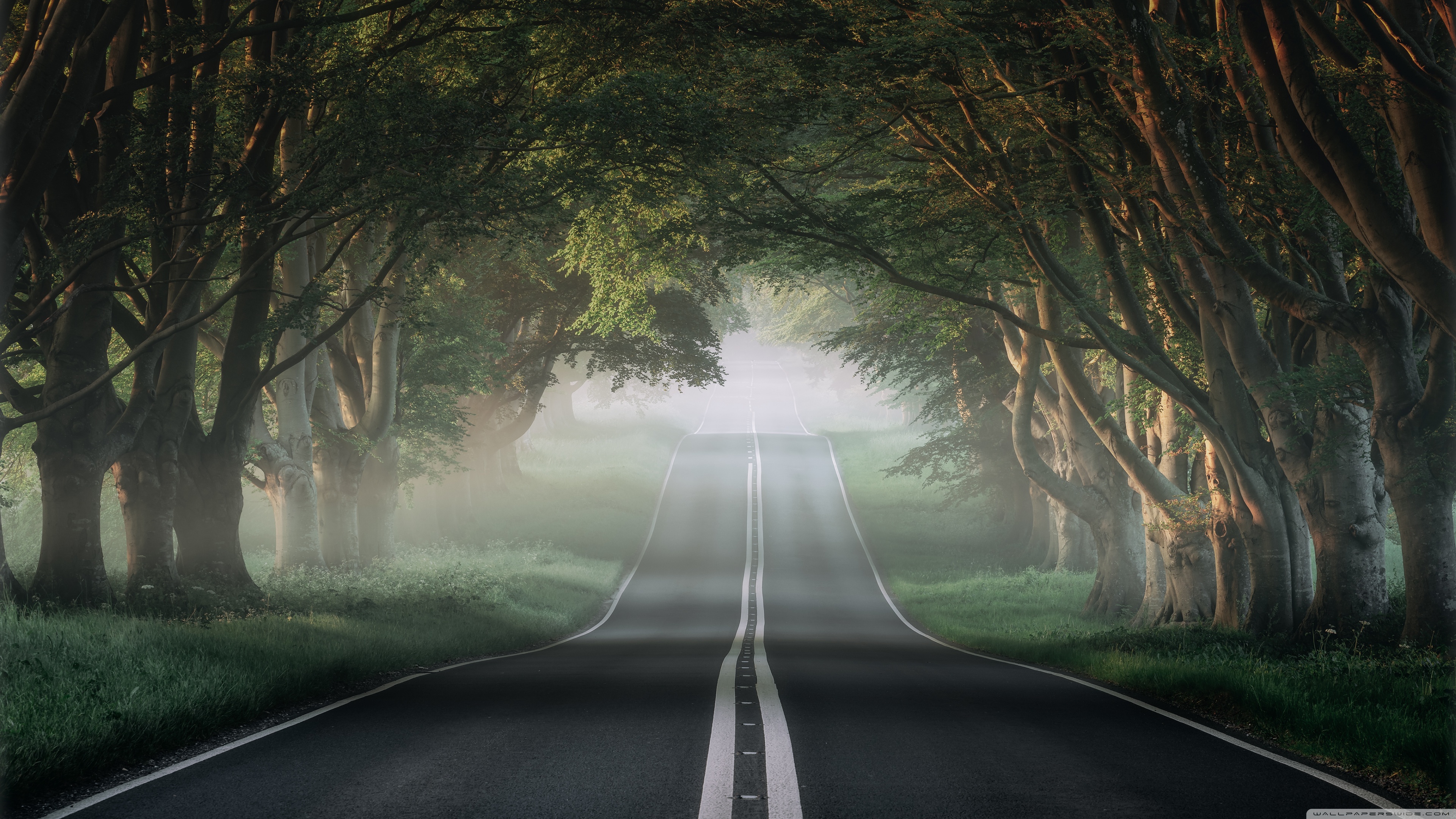 the_most_beautiful_road_in_the_world_2-wallpaper-3840x2160.jpg