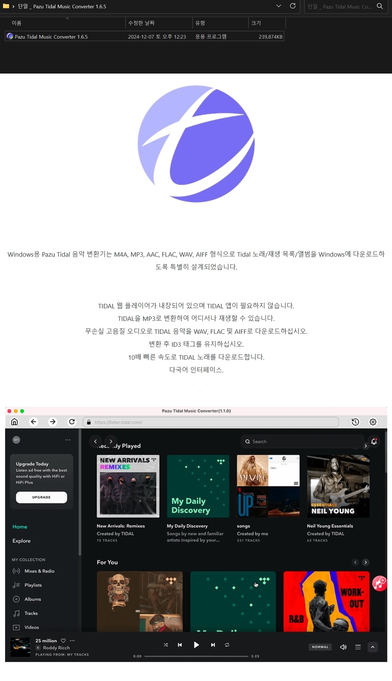 ◆단일 _ Pazu Tidal Music Converter 1.6.5.jpg