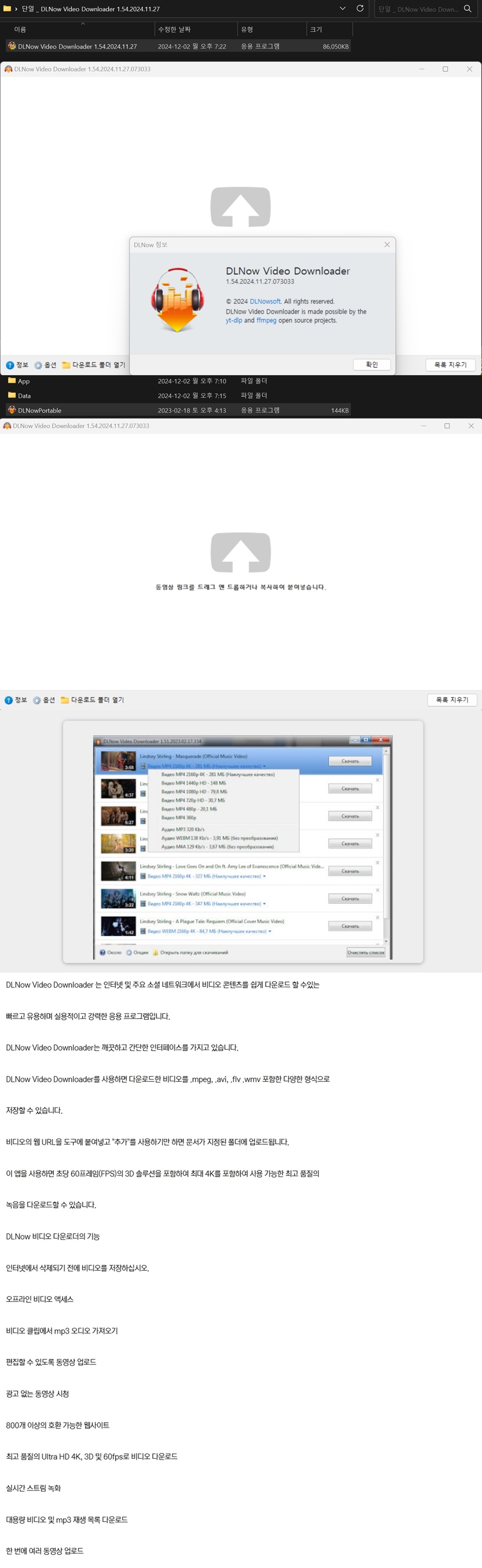 단일 _ DLNow Video Downloader 1.54.2024.11.27.jpg