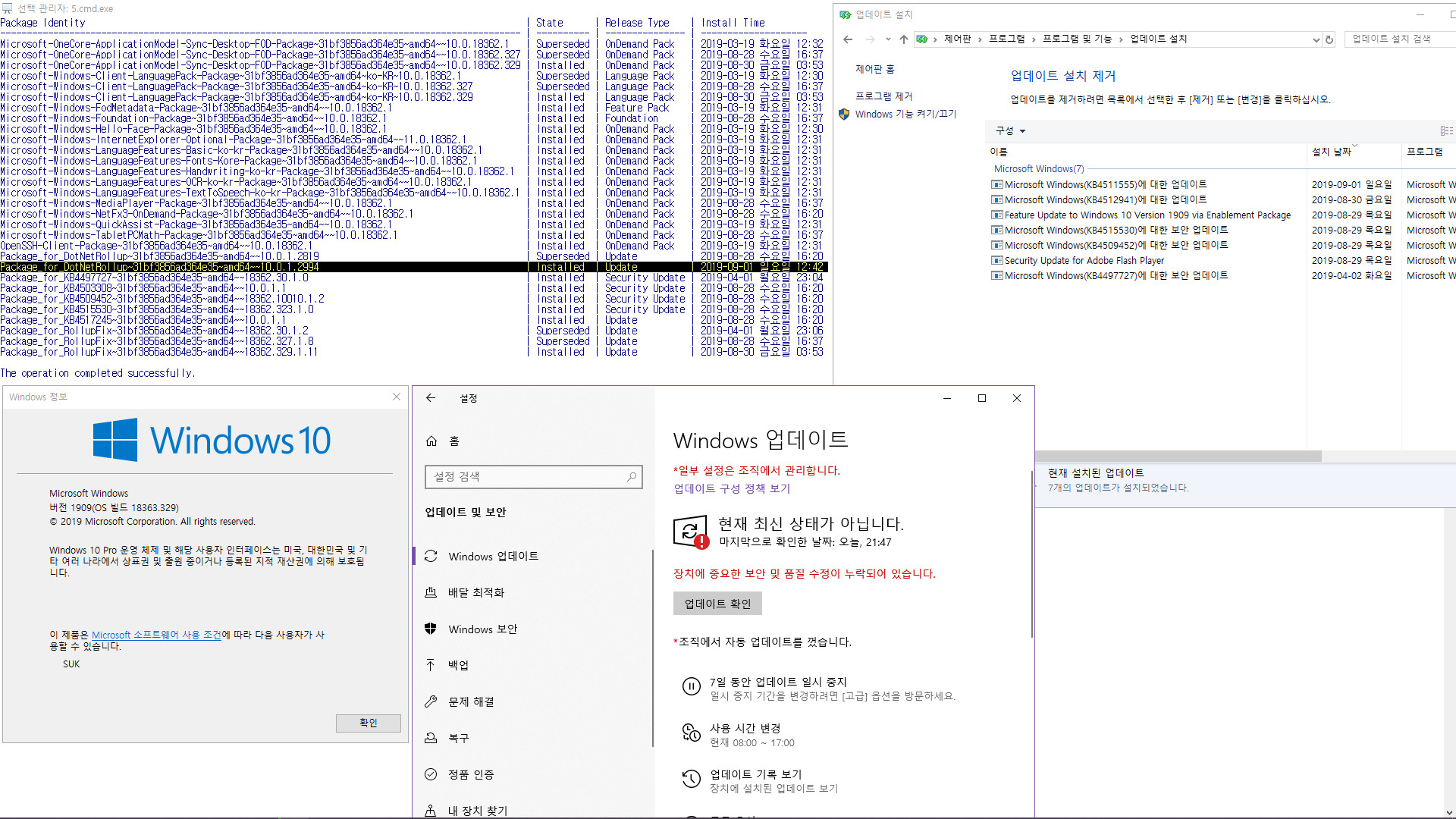 Windows 10 19H2 버전 1909 (OS 빌드 18363.329) 릴리스 프리뷰 - 어제 나온 닷넷 4.8 누적 업데이트를 설치하지 않았네요 - 설치 완료 - 마찬가지 빨간색이네요 2019-09-01_214750.jpg