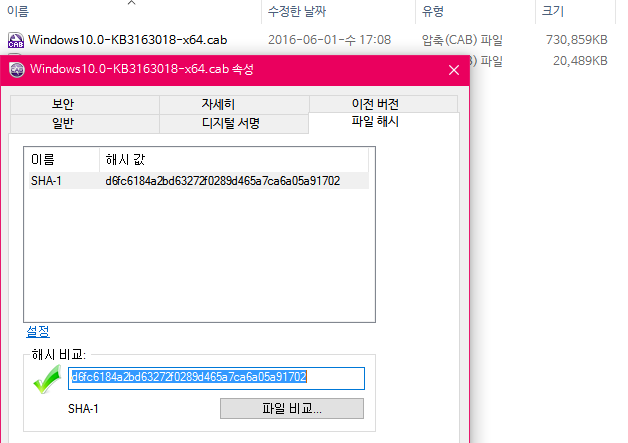 윈도10-th2-10586빌드-윈도업데이트가2일만에갱신됐네요-근데kb3163018은기존6.15정기업데이트에나온파일과같네요-해시값-수정한시간까지2016-06-17_082530.png