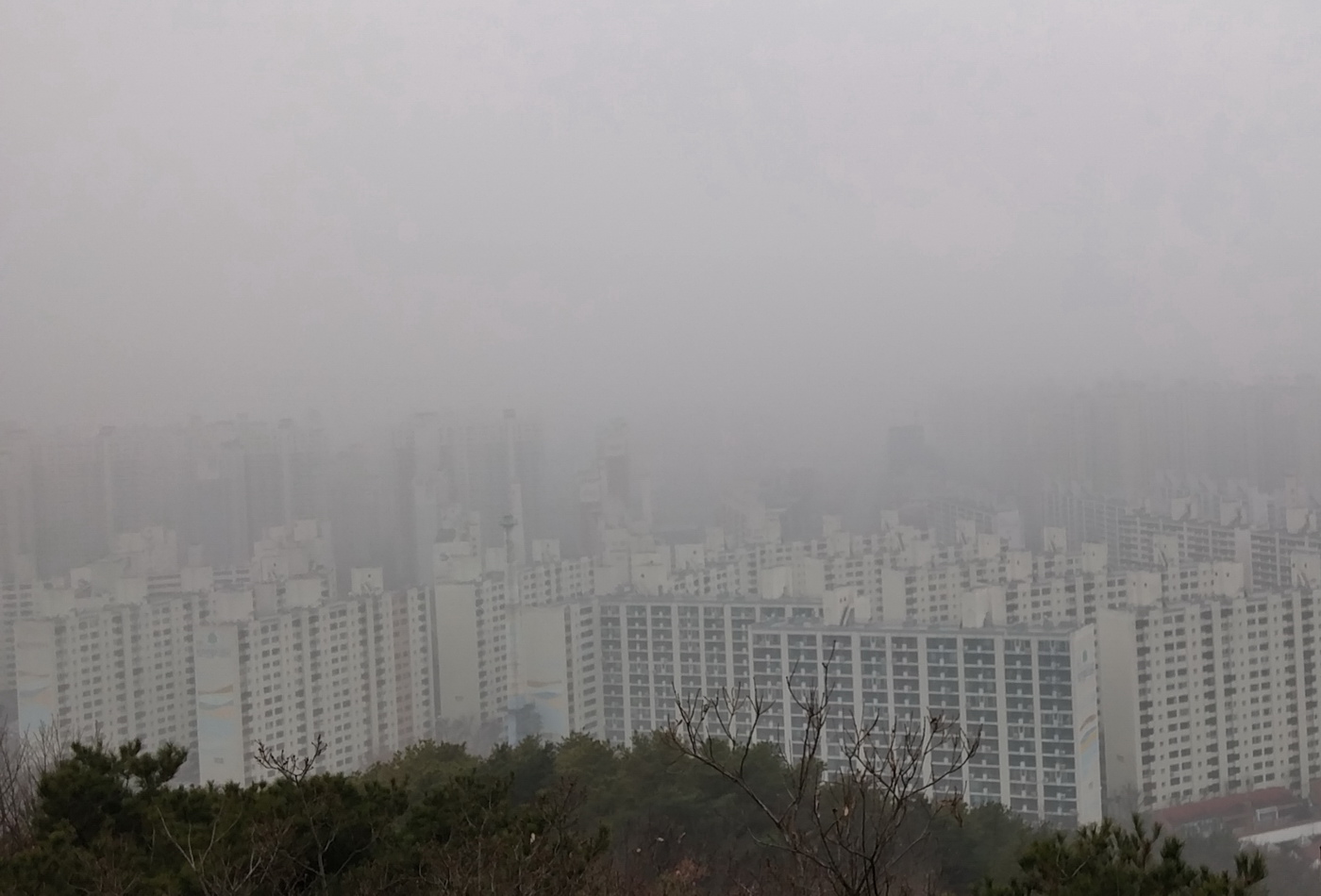 smog01.jpg