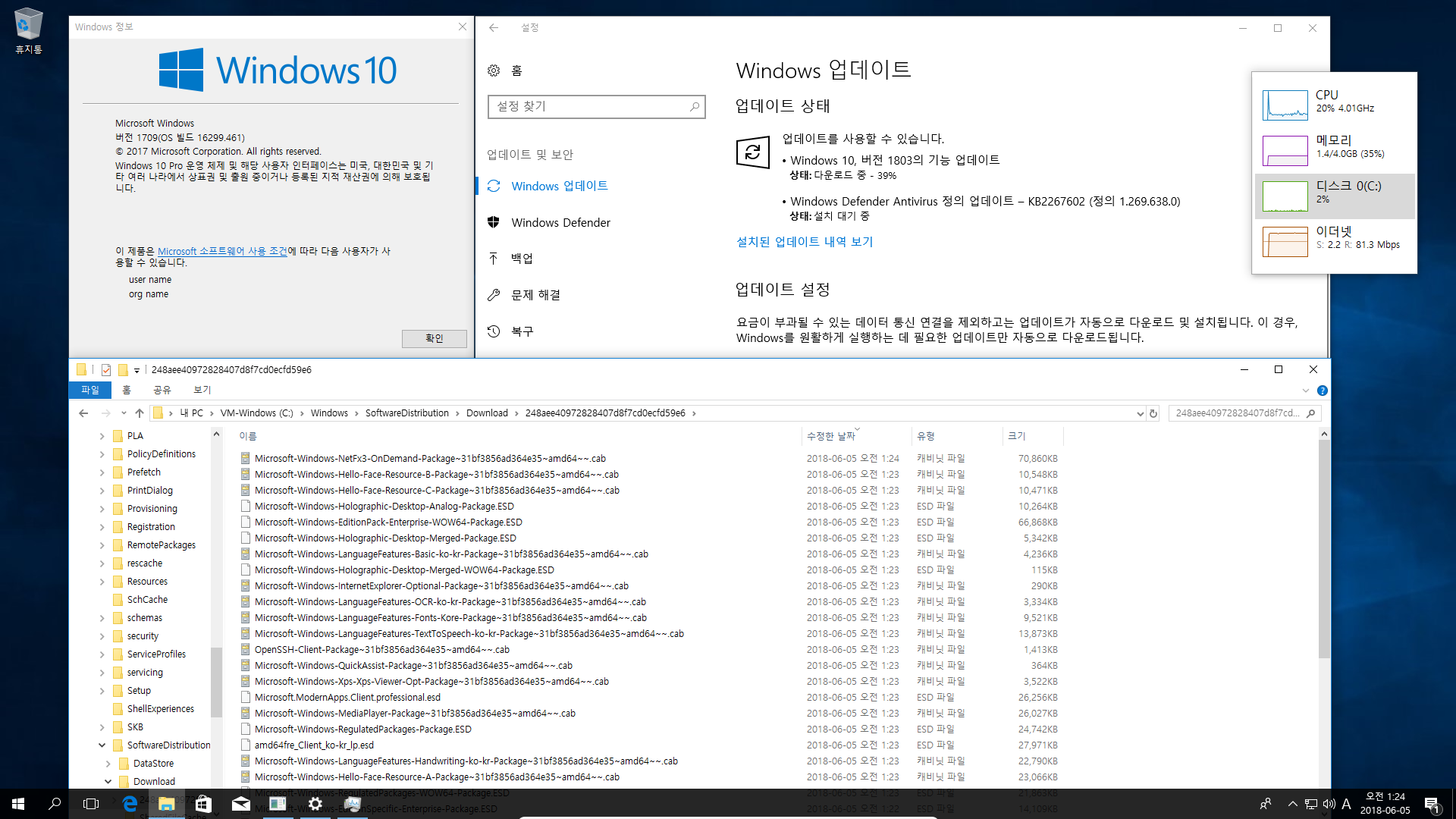 Windows 10 인사이더 프리뷰 RTM 때와 정식 출시 후에 윈도 업데이트 할 때 [업그레이드] 나오는 파일들이 다른지 확인합니다 - 현재 버전1803 RS4 레드스톤4 대상으로 확인 2018-06-05_012452.png