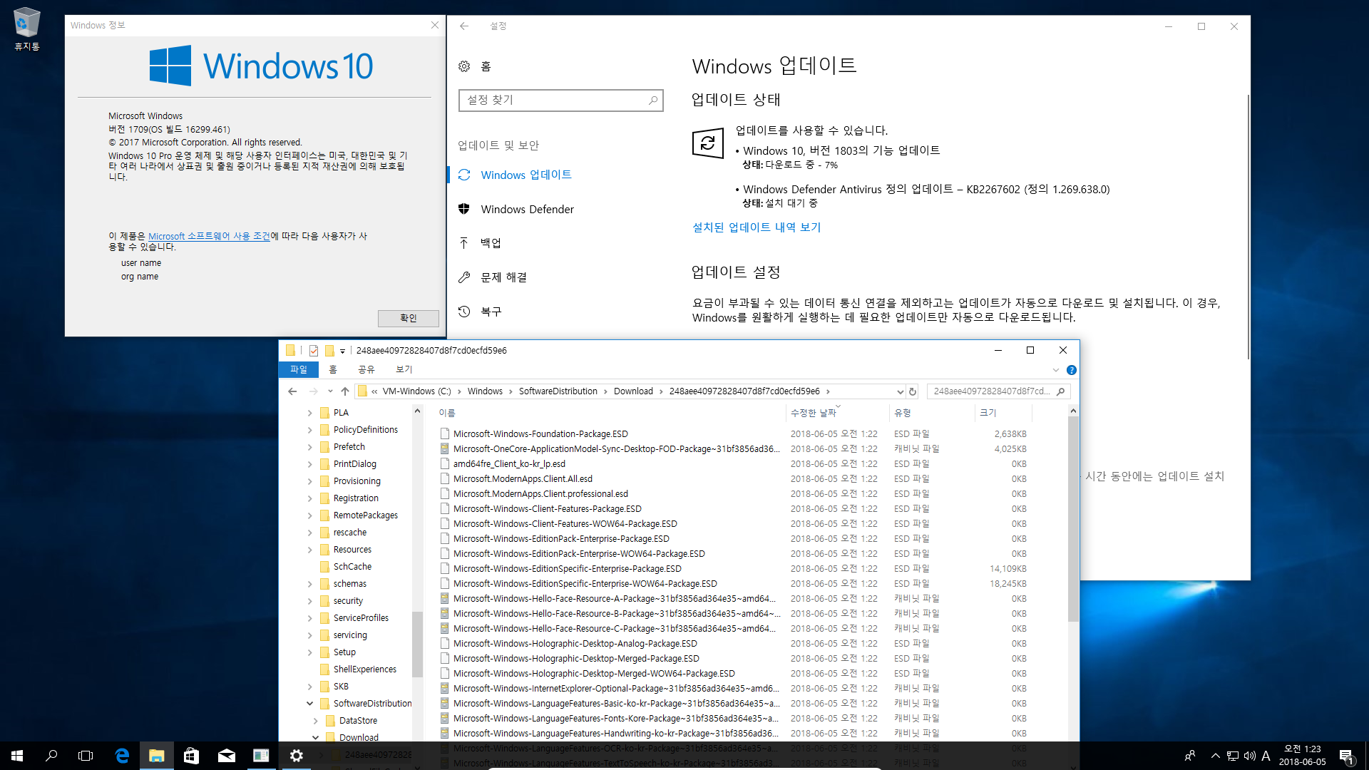 Windows 10 인사이더 프리뷰 RTM 때와 정식 출시 후에 윈도 업데이트 할 때 [업그레이드] 나오는 파일들이 다른지 확인합니다 - 현재 버전1803 RS4 레드스톤4 대상으로 확인 2018-06-05_012301.png