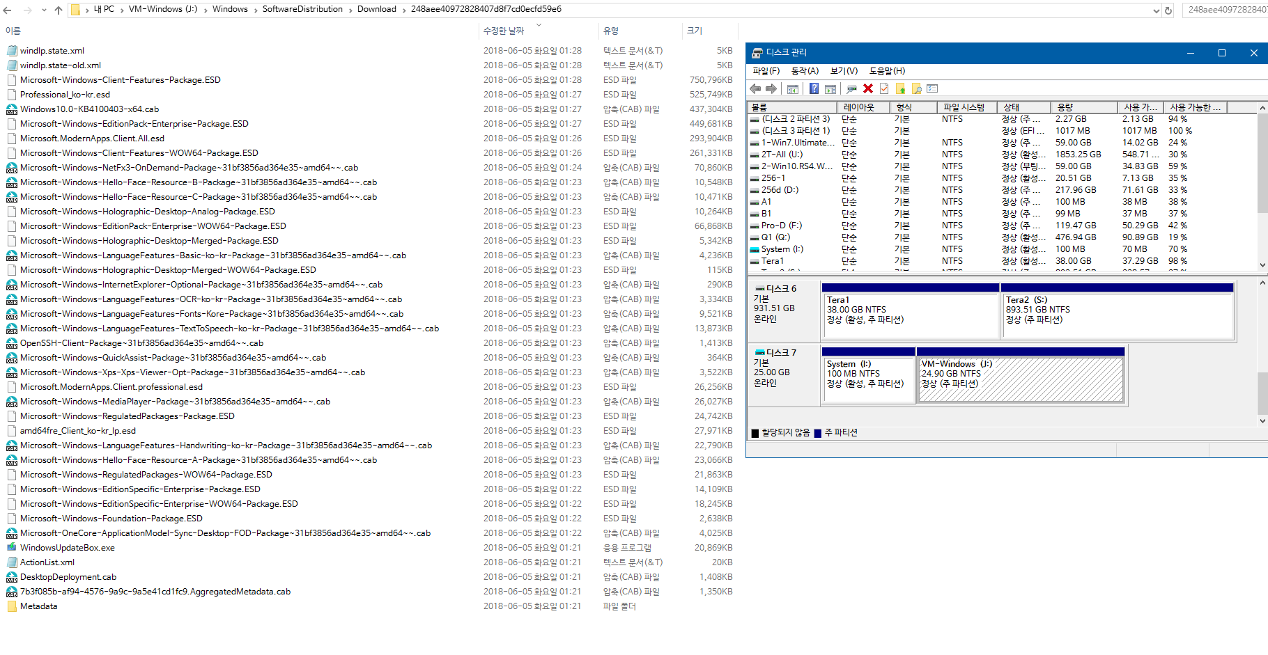 Windows 10 인사이더 프리뷰 RTM 때와 정식 출시 후에 윈도 업데이트 할 때 [업그레이드] 나오는 파일들이 다른지 확인합니다 - 현재 버전1803 RS4 레드스톤4 대상으로 확인 2018-06-05_013050.png