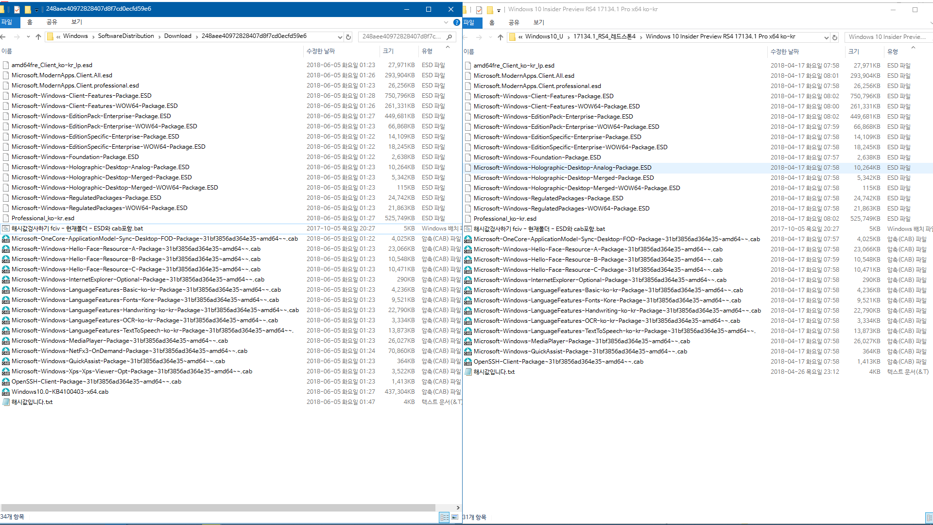 Windows 10 인사이더 프리뷰 RTM 때와 정식 출시 후에 윈도 업데이트 할 때 [업그레이드] 나오는 파일들이 다른지 확인합니다 - 현재 버전1803 RS4 레드스톤4 대상으로 확인 2018-06-05_015159.png