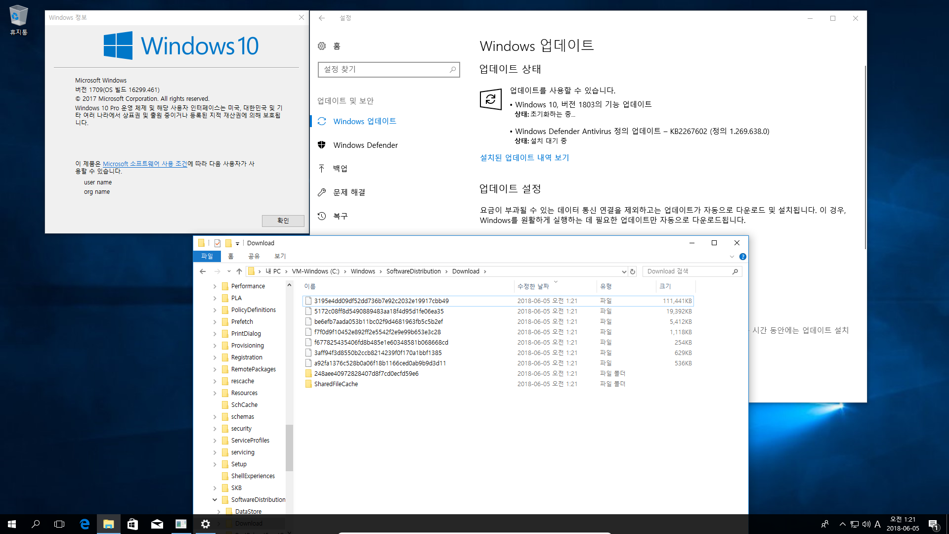 Windows 10 인사이더 프리뷰 RTM 때와 정식 출시 후에 윈도 업데이트 할 때 [업그레이드] 나오는 파일들이 다른지 확인합니다 - 현재 버전1803 RS4 레드스톤4 대상으로 확인 2018-06-05_012149.png