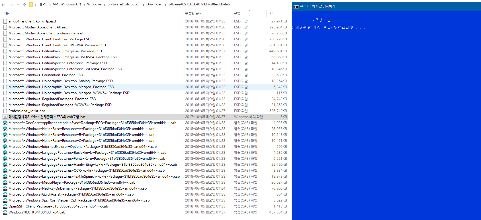 Windows 10 인사이더 프리뷰 RTM 때와 정식 출시 후에 윈도 업데이트 할 때 [업그레이드] 나오는 파일들이 다른지 확인합니다 - 현재 버전1803 RS4 레드스톤4 대상으로 확인 2018-06-05_014659.png