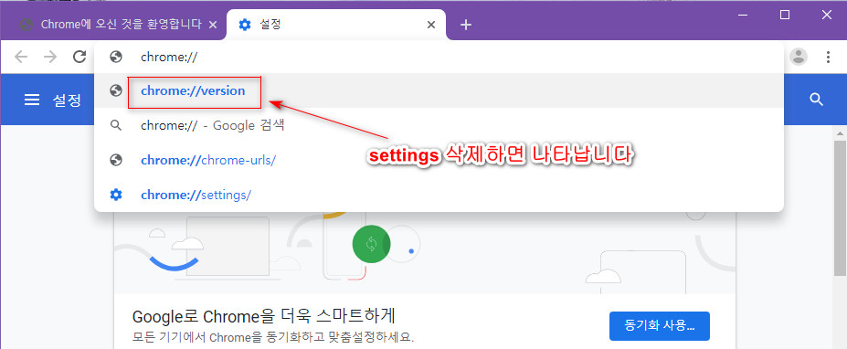크롬 버전만 확인하는 방법 [타이핑하지 않고] 2019-08-10_190458.jpg