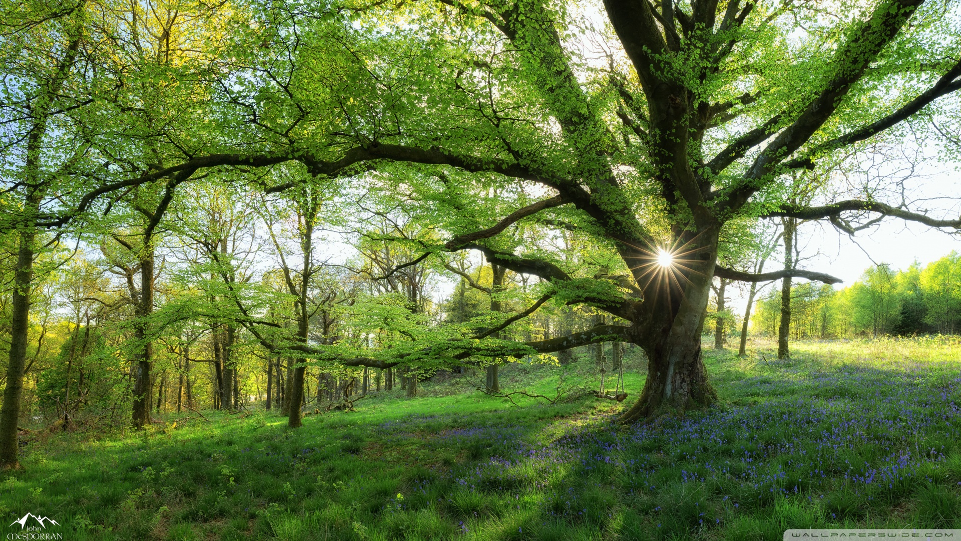 most_beautiful_spring_landscapes_on_earth-wallpaper-1920x1080.jpg