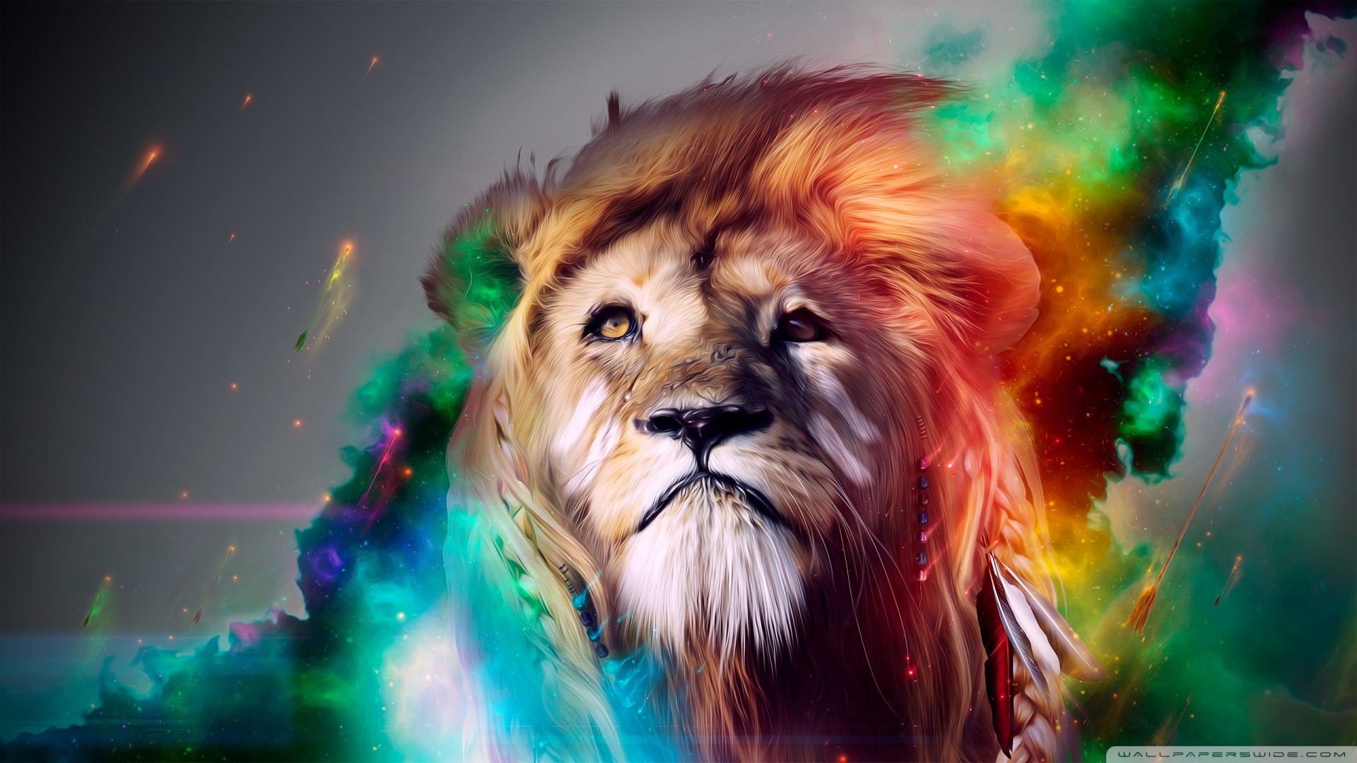 beautiful_lion_2-wallpaper-1920x1080.jpg