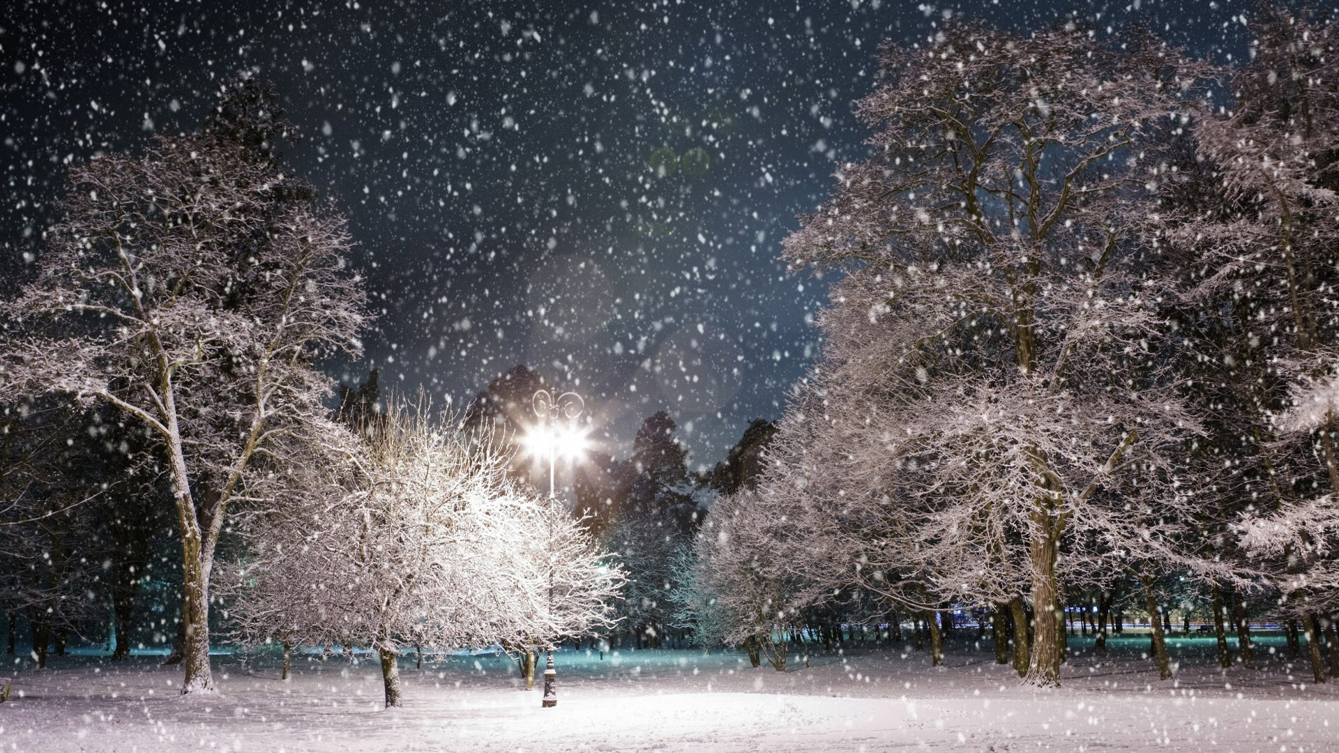 winter_night_3-wallpaper-1920x1080.jpg