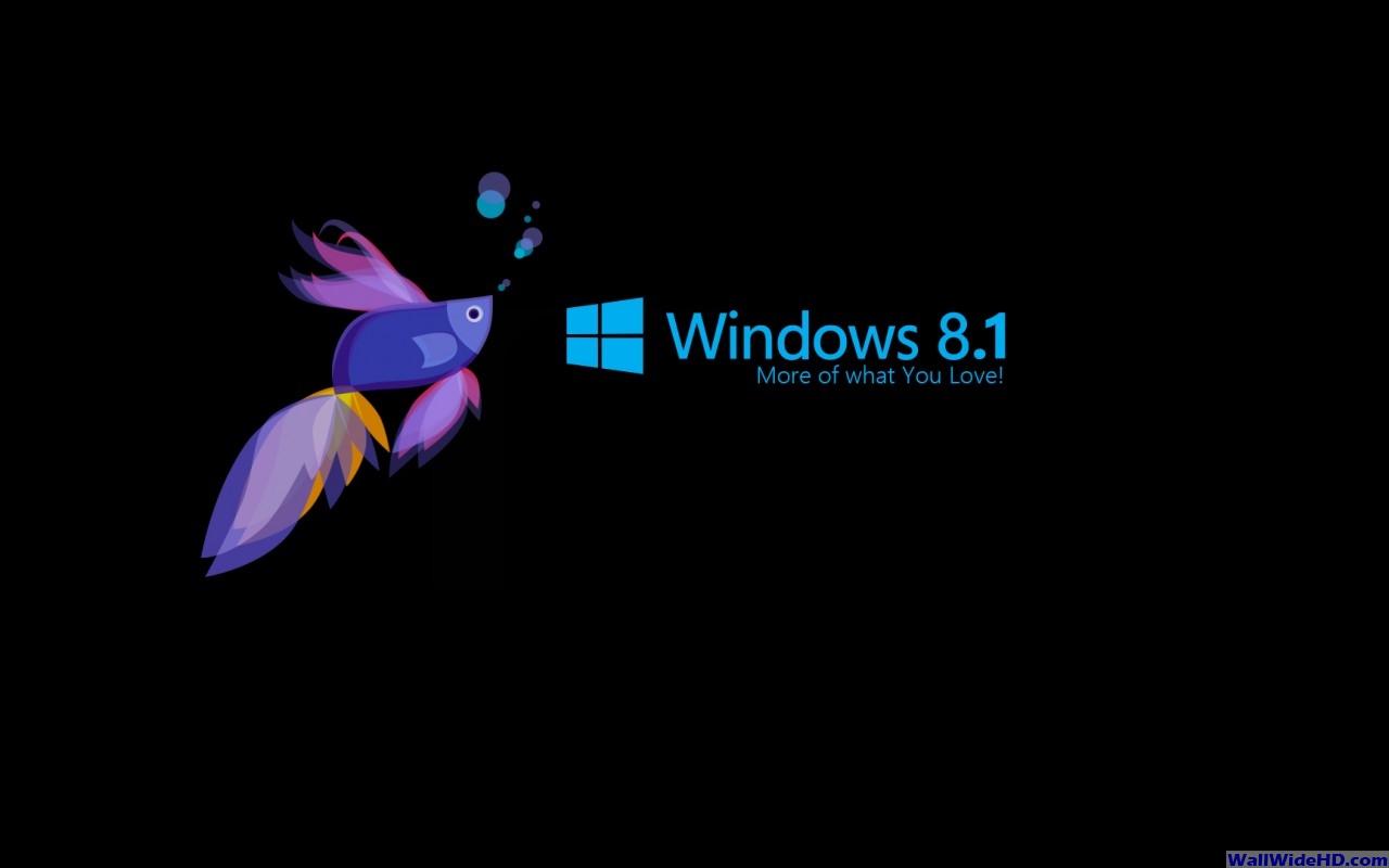 windows-8.1-fish-wallpaper-1280x800.jpg