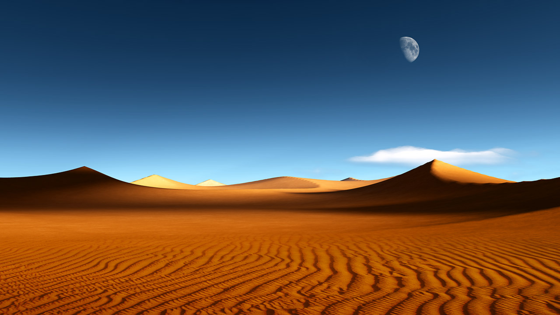 desert beauty002.jpg