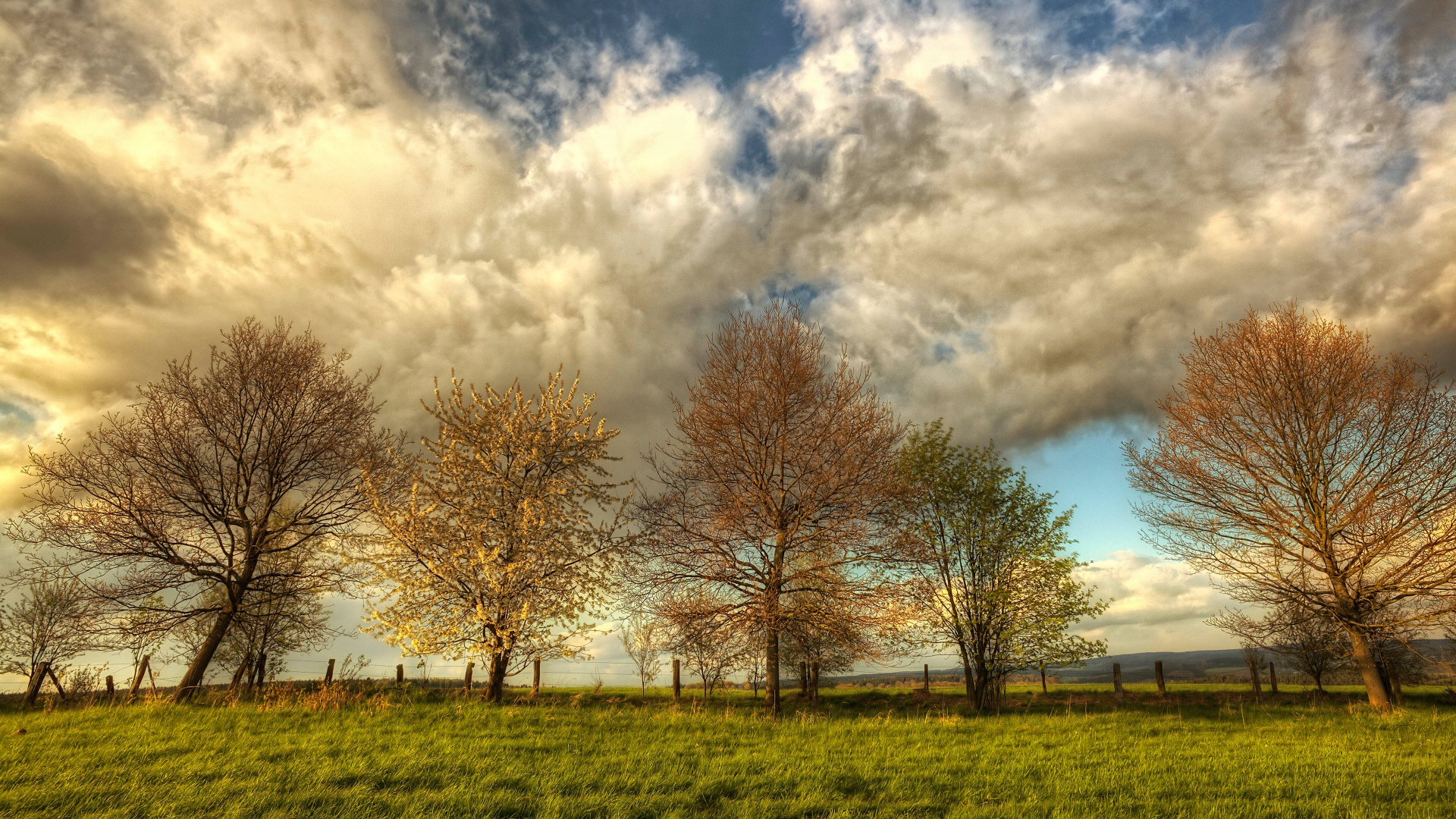 white_clouds_hdr-wallpaper-1920x1080.jpg