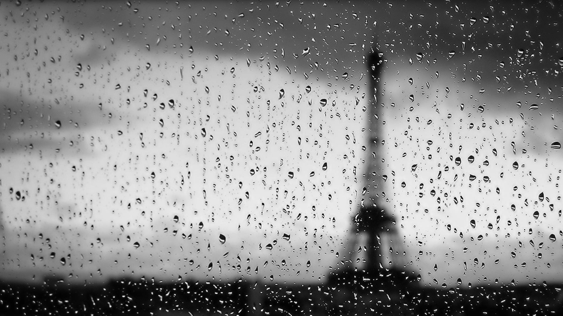 창문_비에펠탑.jpg
