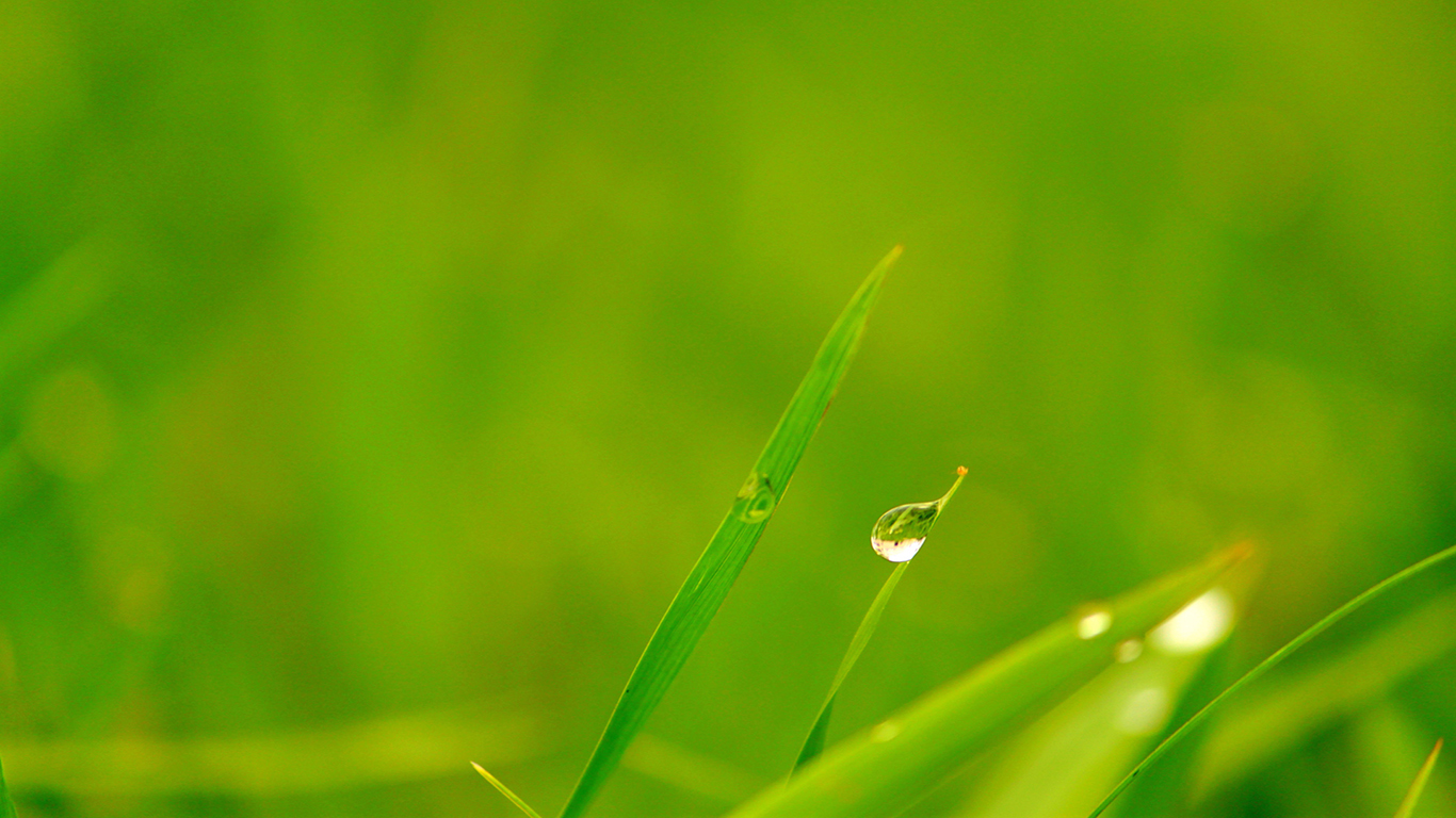 FidaMehran-DewDrops6-22-2012 2_59_00 PM.jpg