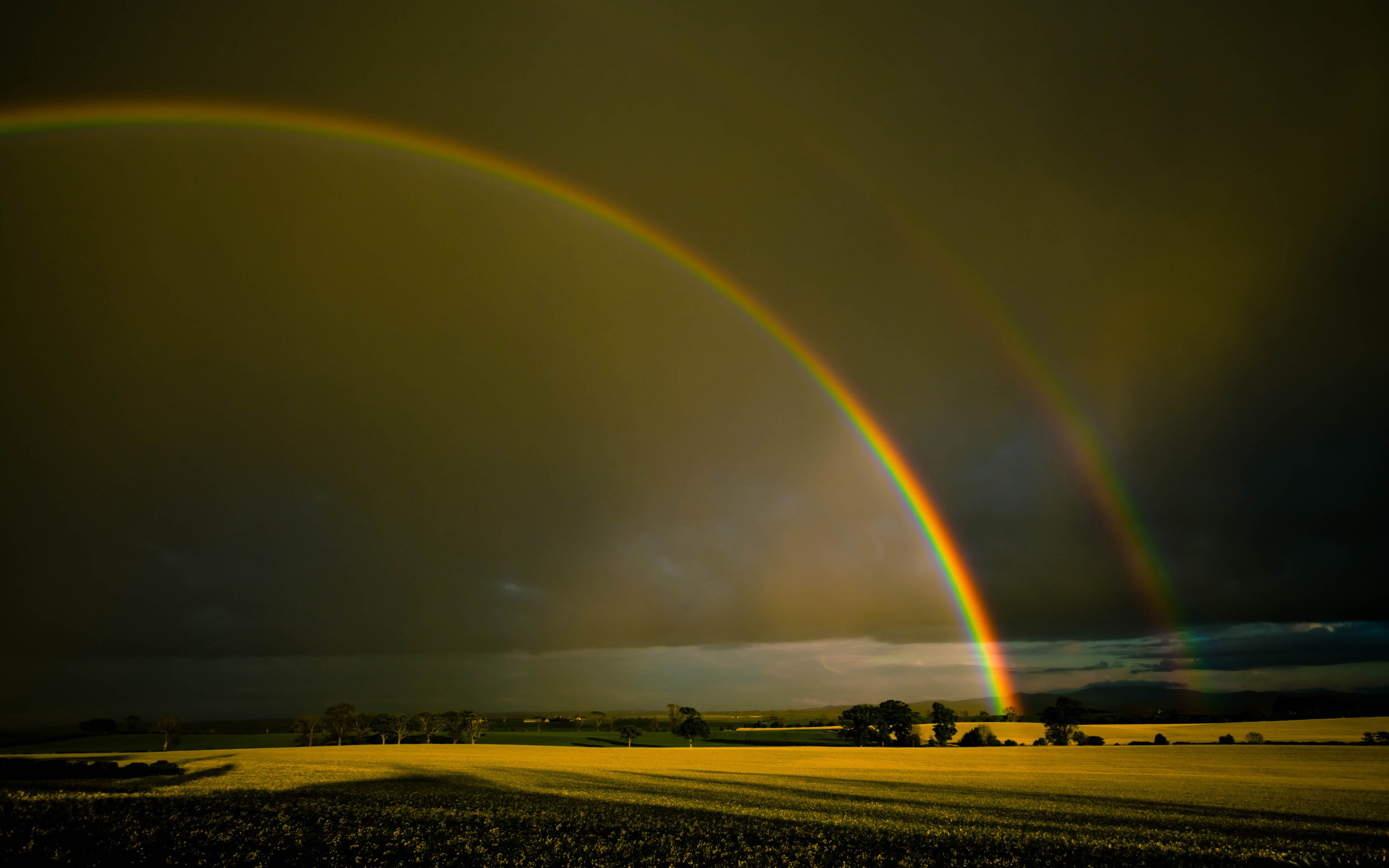 double_rainbow-wallpaper.jpg