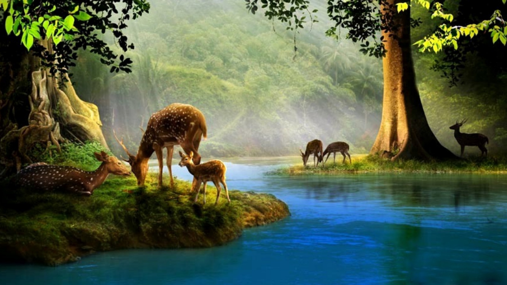 peaceful-deer-life.jpg