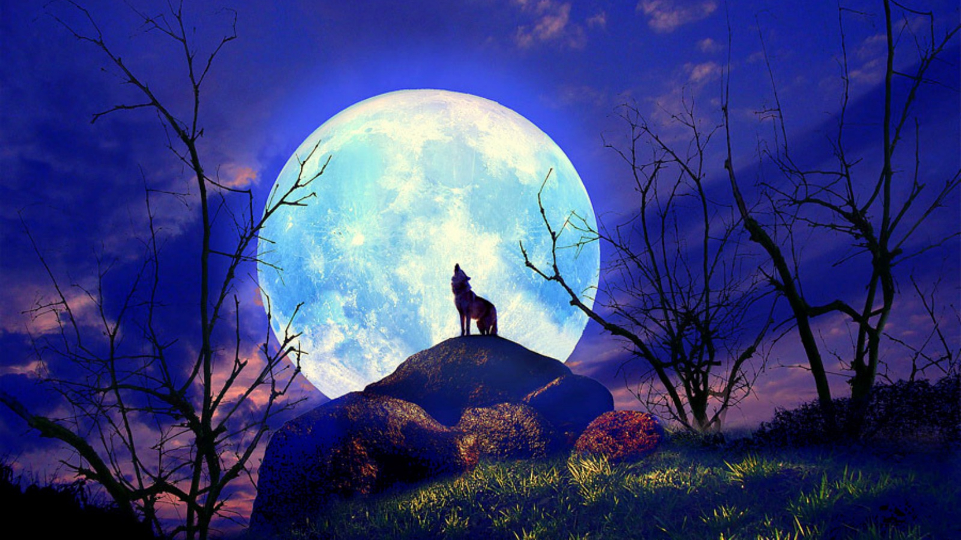 super-moon-wolf.jpg