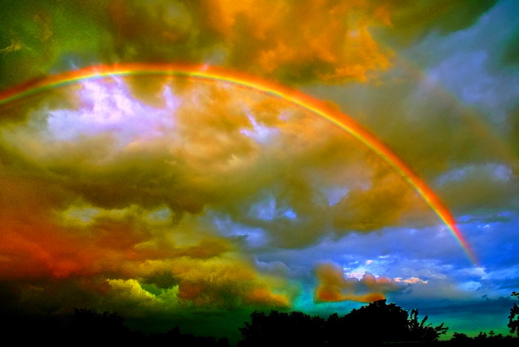 Rainbow13.jpg