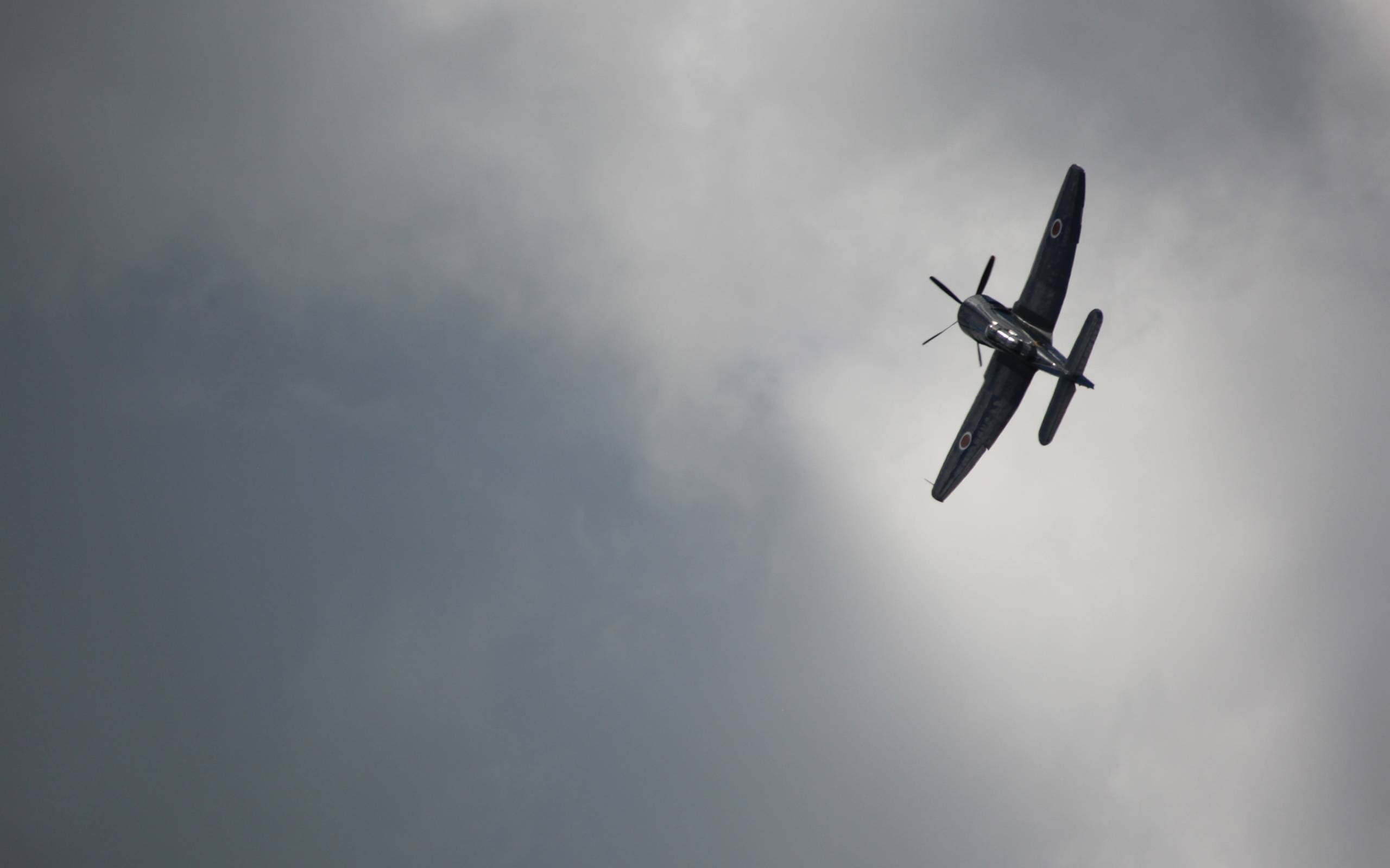 Sea_Fury_by_Ian_Worrall.jpg