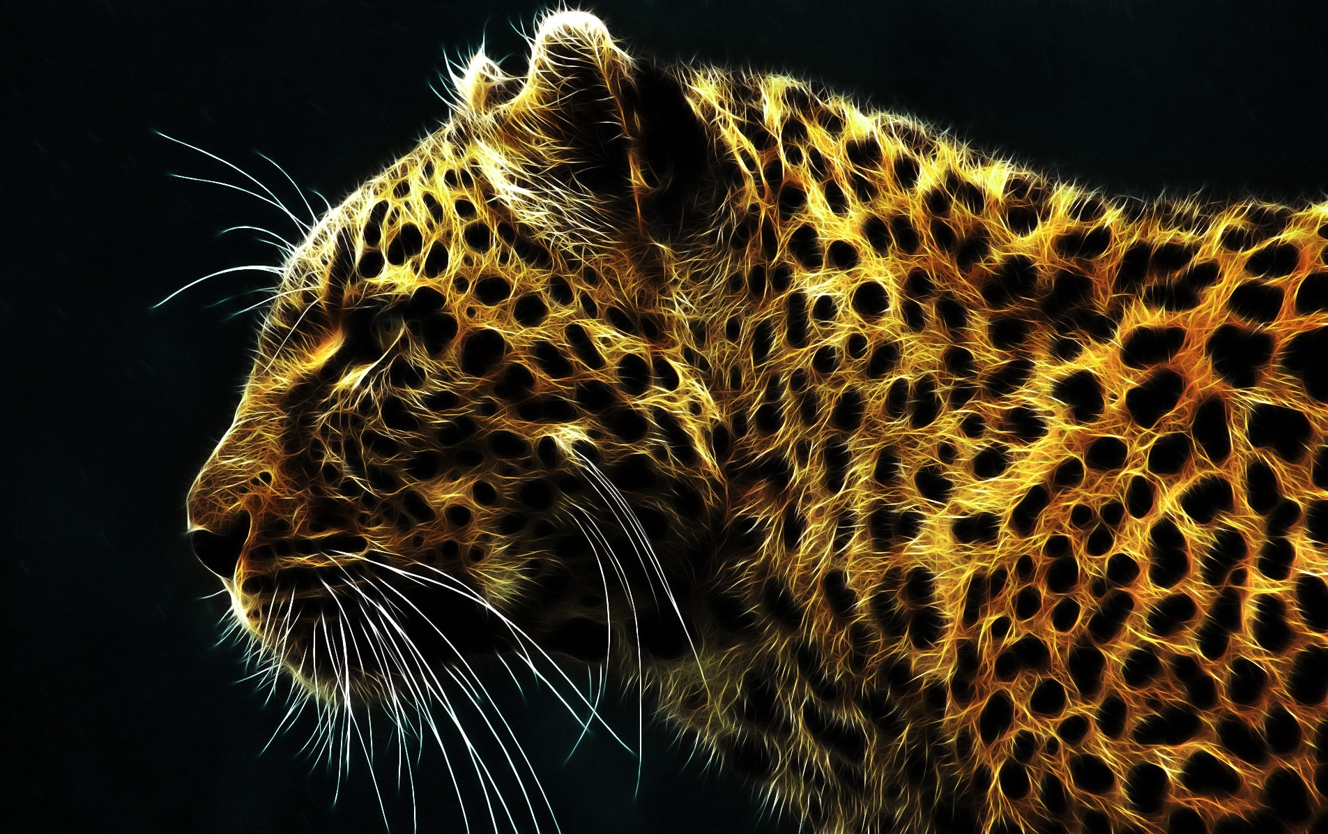 wild-cat-leopard.jpg