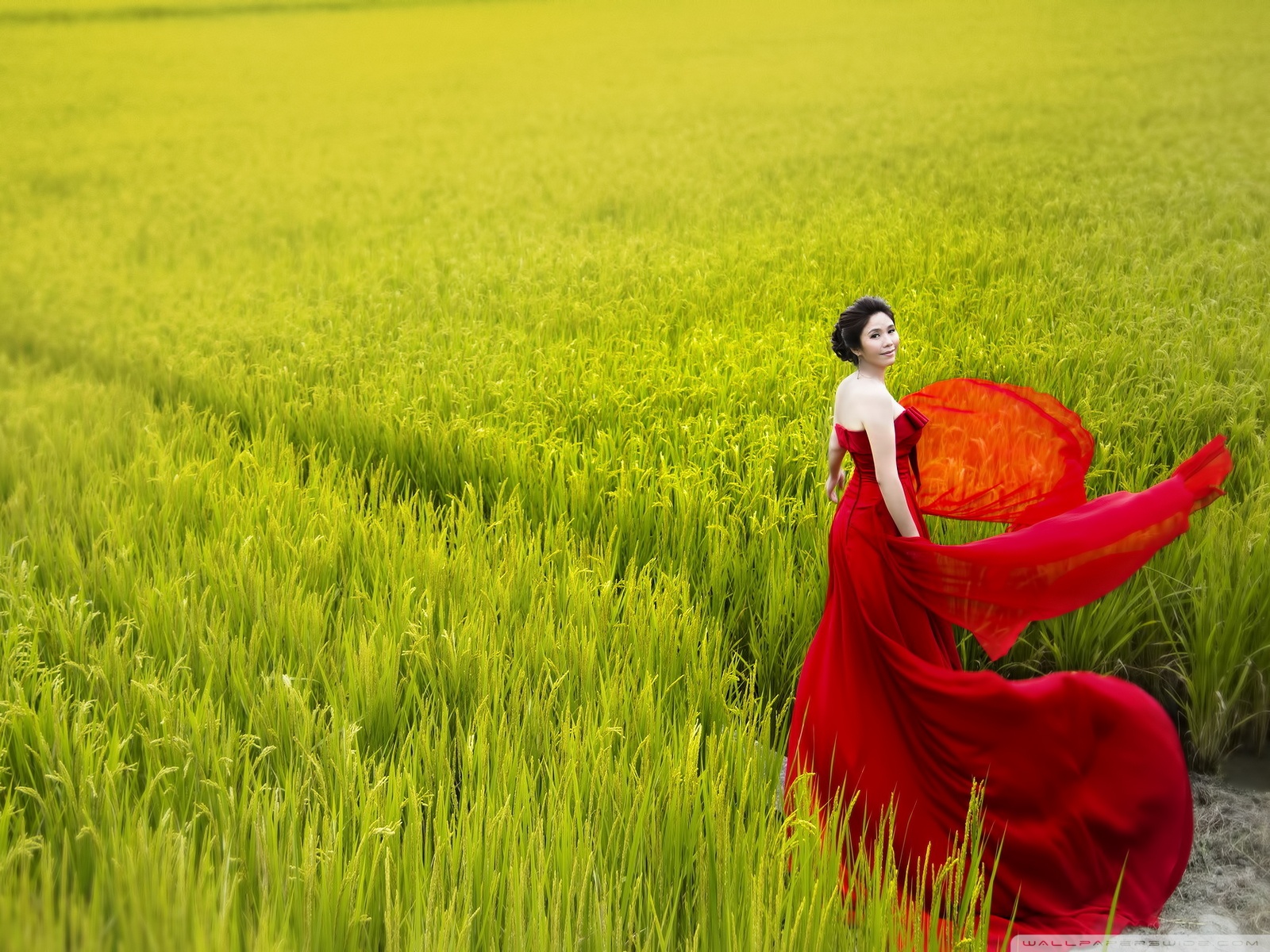 romantic_lady_in_red-wallpaper-1600x1200.jpg