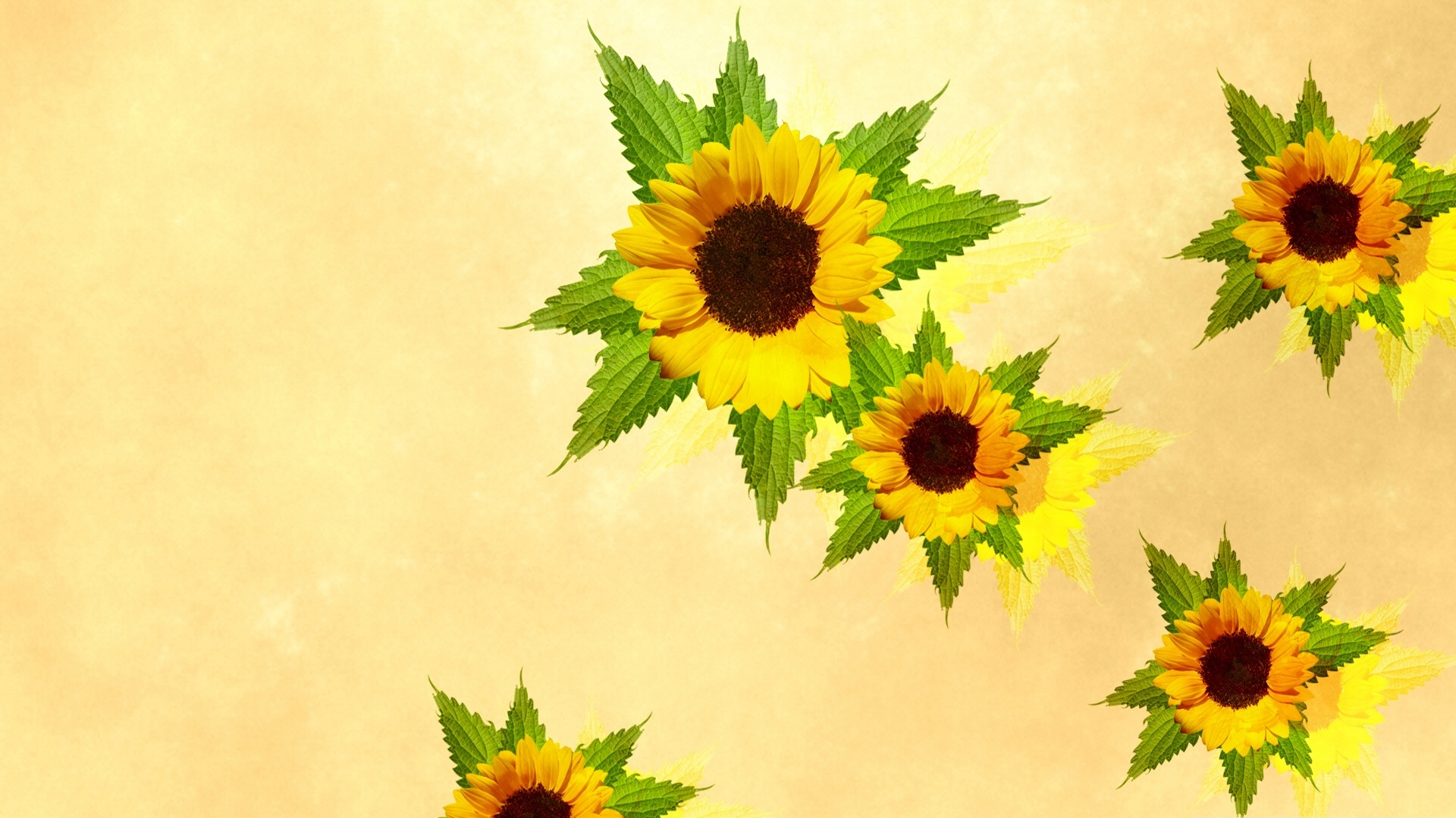 desktop_sunflowers-wallpaper-1920x1080.jpg